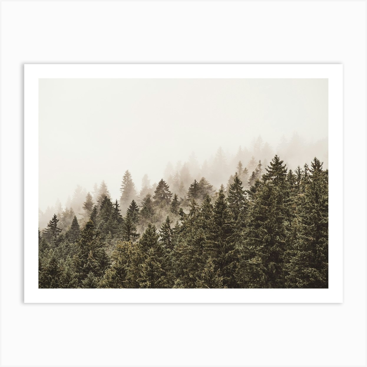 Minimal Pine Forest Art Print by Boheme At Home - Fy