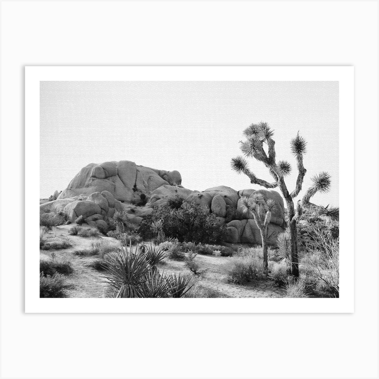 Arizona Desert Art Print by Gal Design - Fy