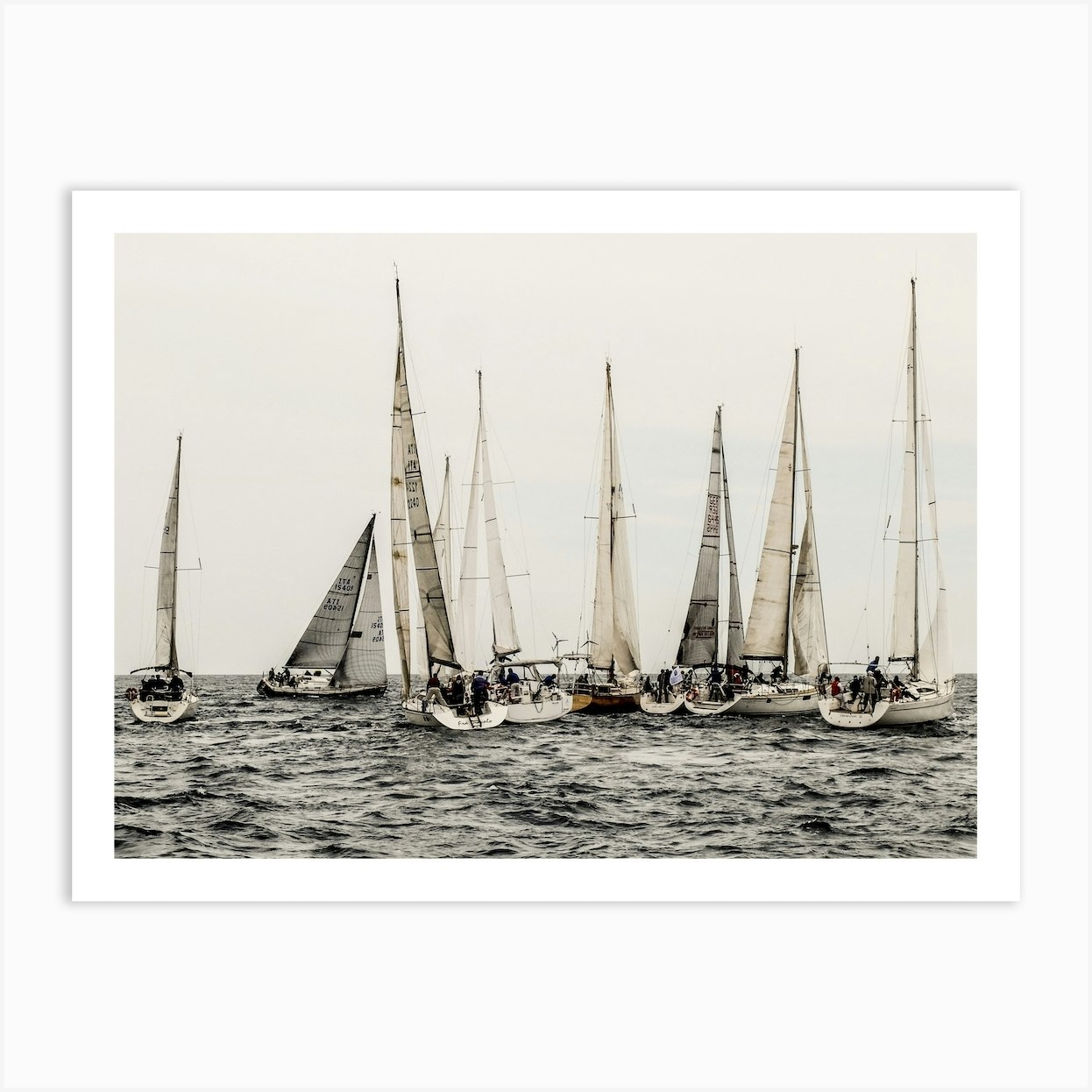 sailboat regatta art print