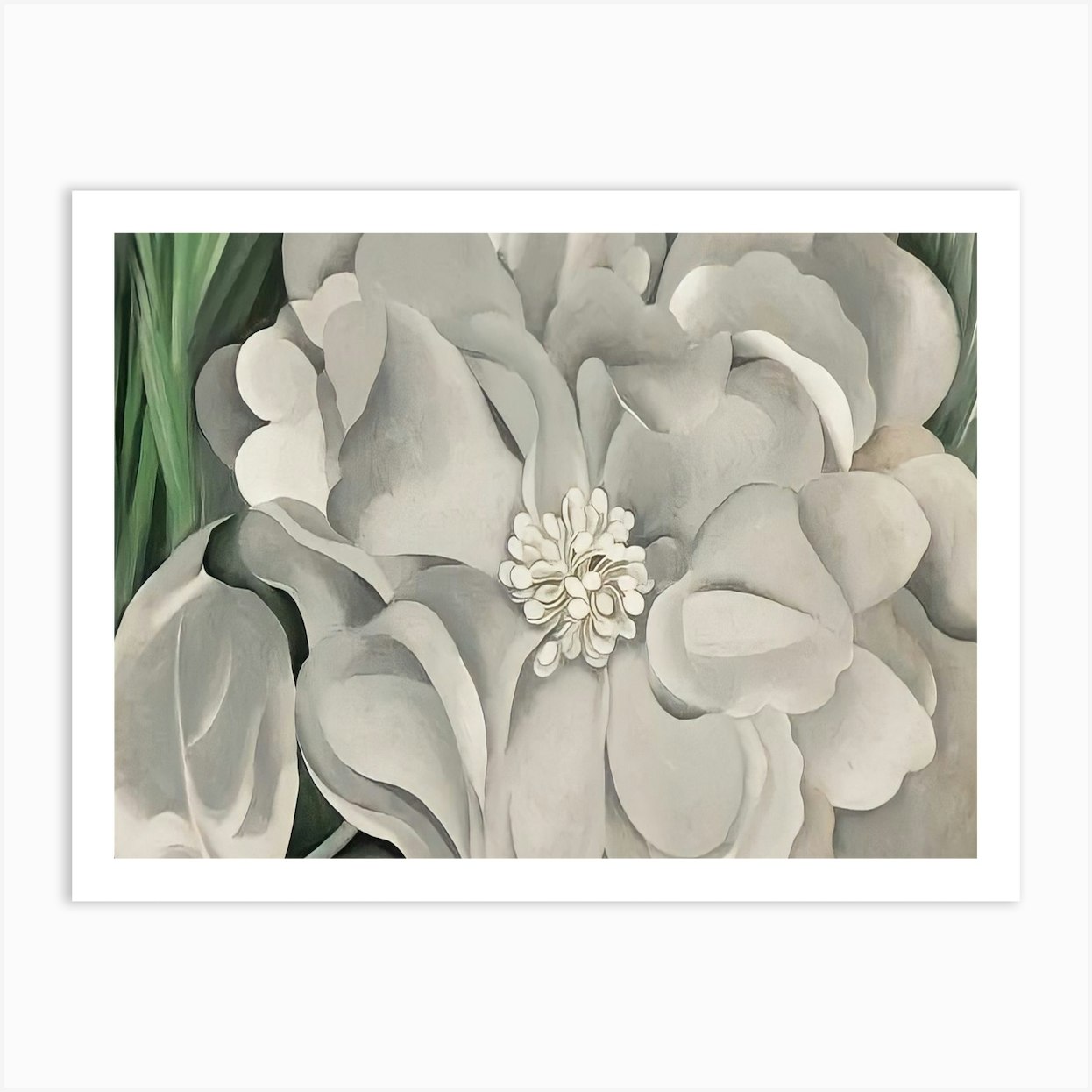 Georgia O'Keeffe - The White Calico Flower Art Print by Wirla - Fy