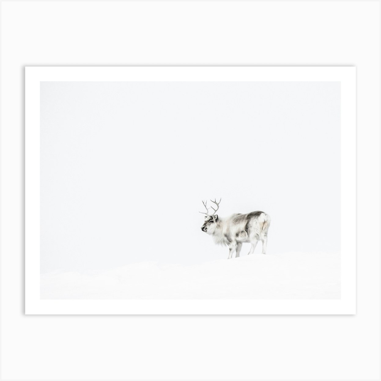 Fy! - Shop Home, Living & Art