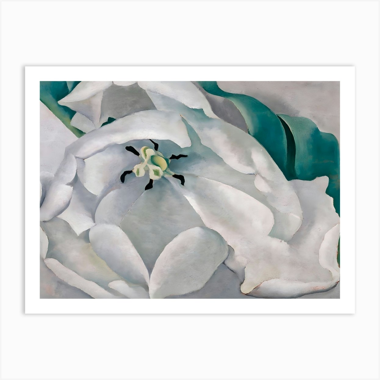 Georgia O'keeffe - White Flower , 1932 Art Print By Wirla - Fy