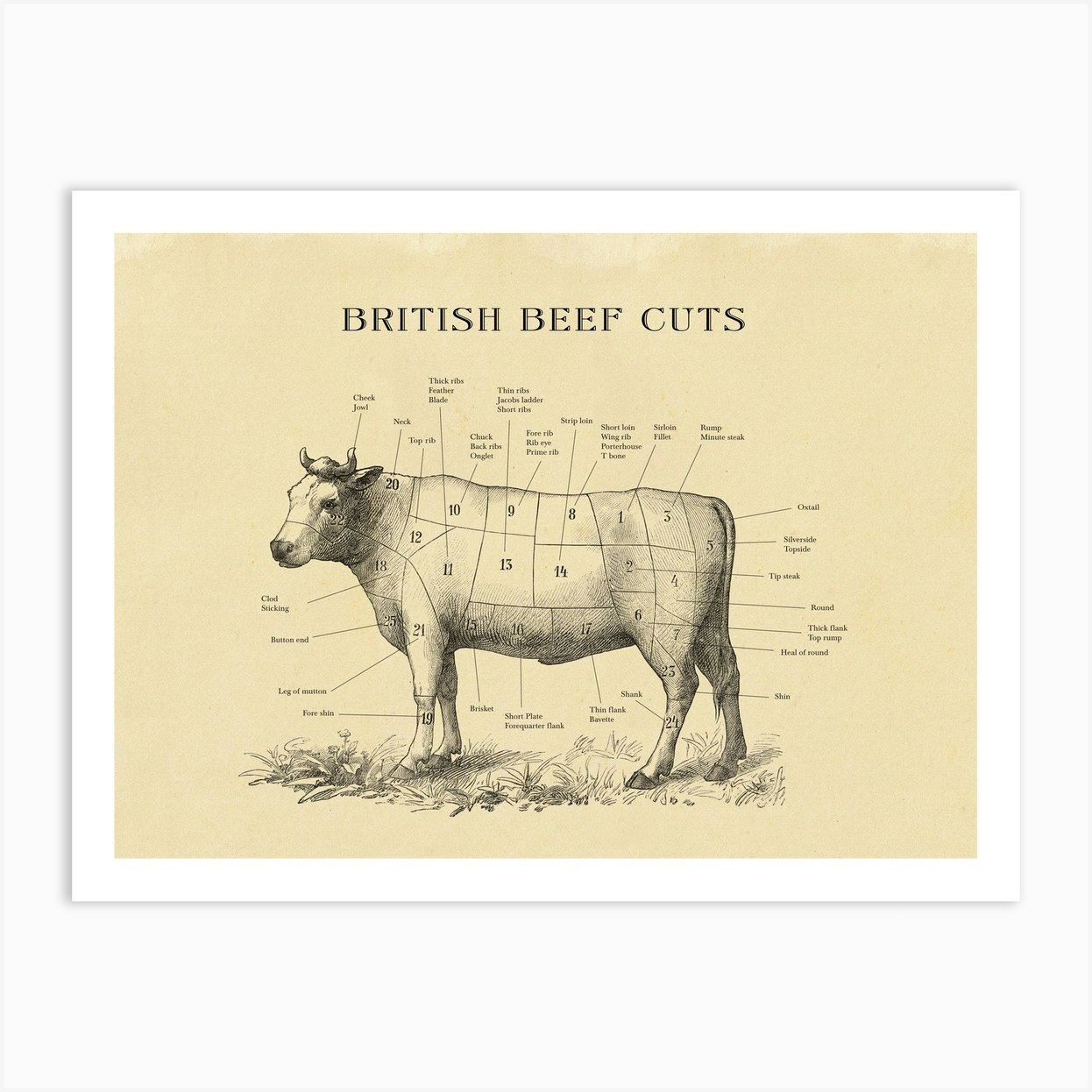 British Beef Butcher Cuts Chart Art Print by Hannah Turpin - Fy