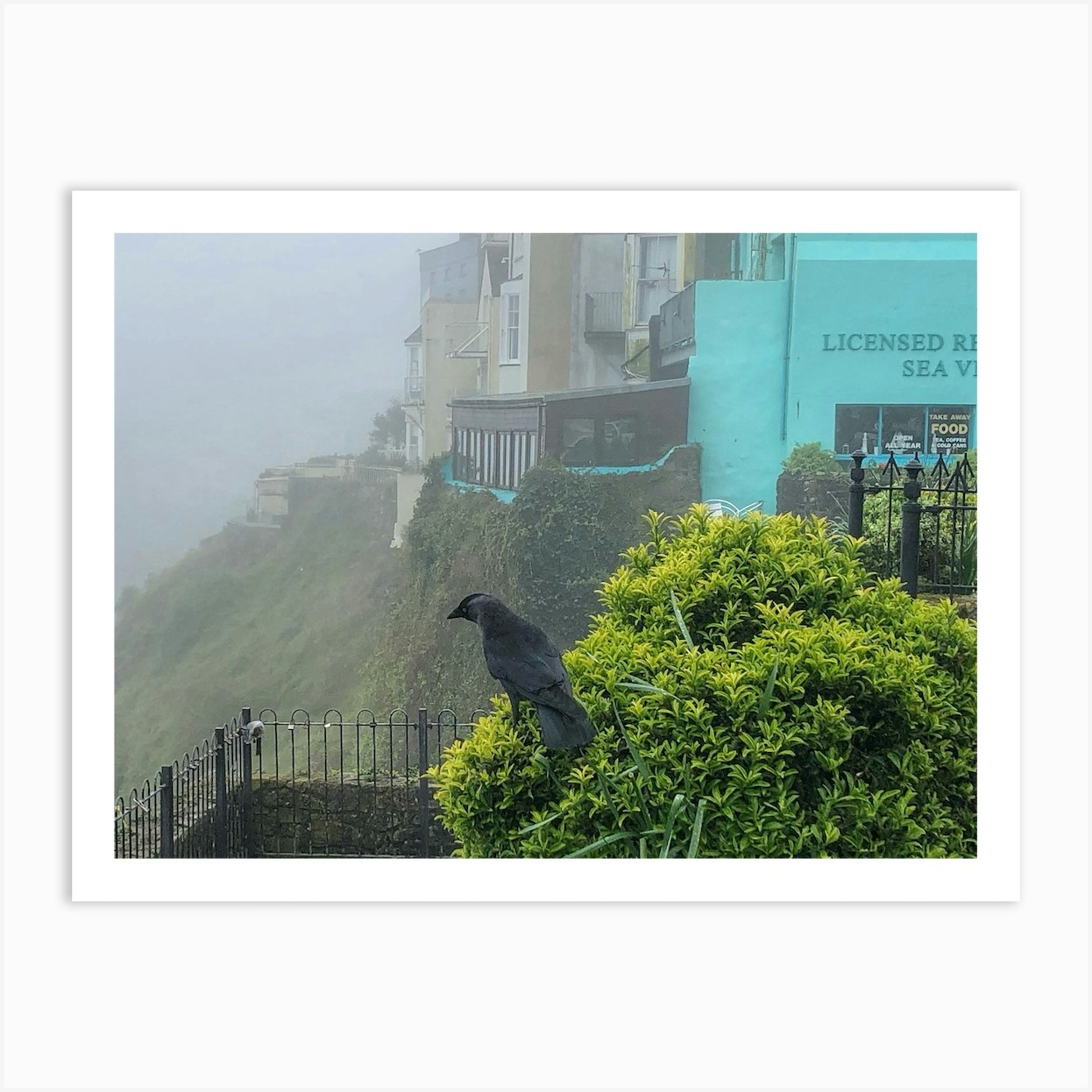 Tenby wildlife Art Print by Helen Parker - Fy