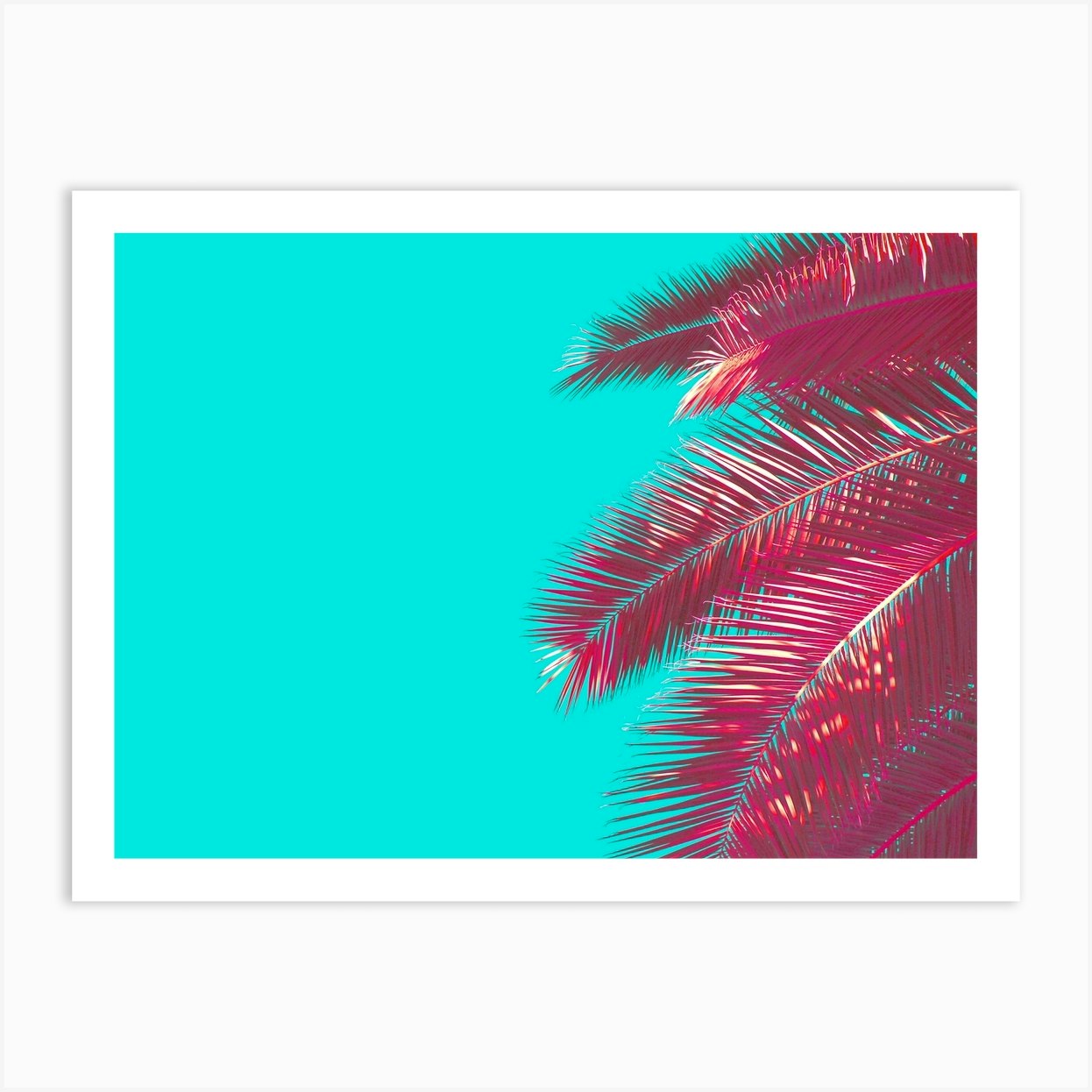 Neon Palm Tree Art Print by Tom Windeknecht Photography - Fy