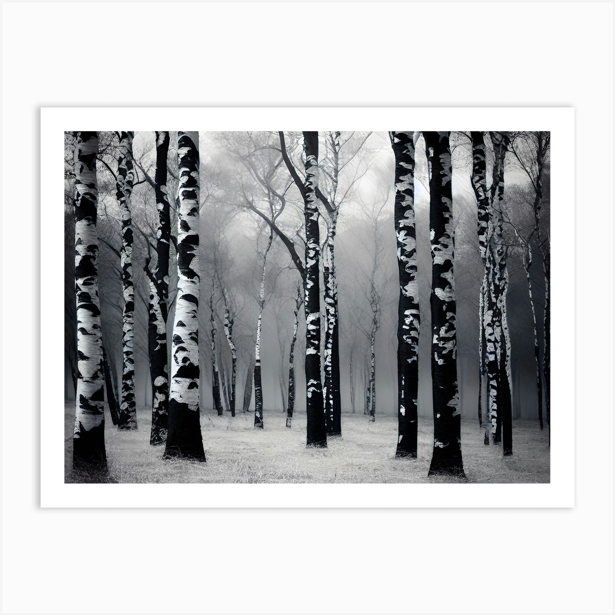 Birch Trees 51 Art Print By Noctarius Fy 5873