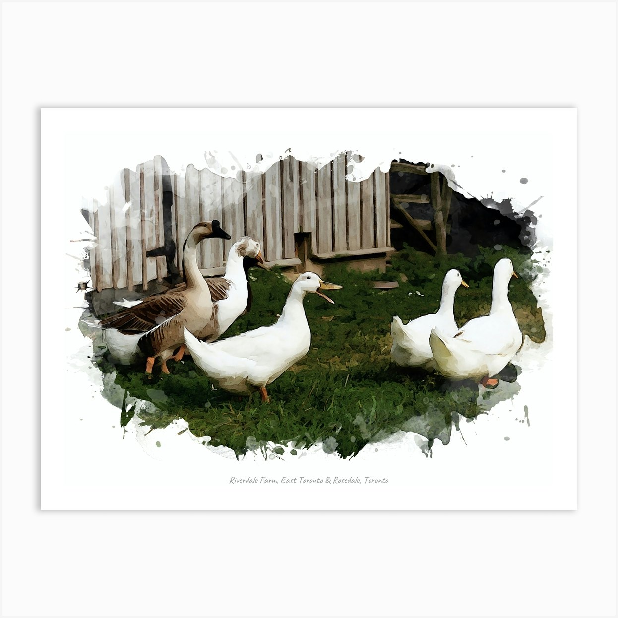 Riverdale Farm, East Toronto & Rosedale, Toronto Art Print by nuvo