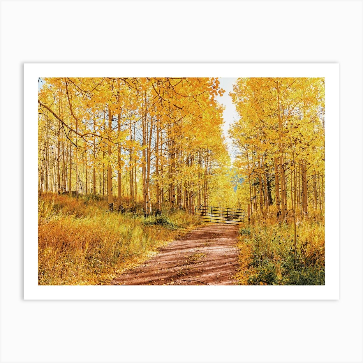 Flagstaff In Autumn Art Print by Golden Saguaro - Fy