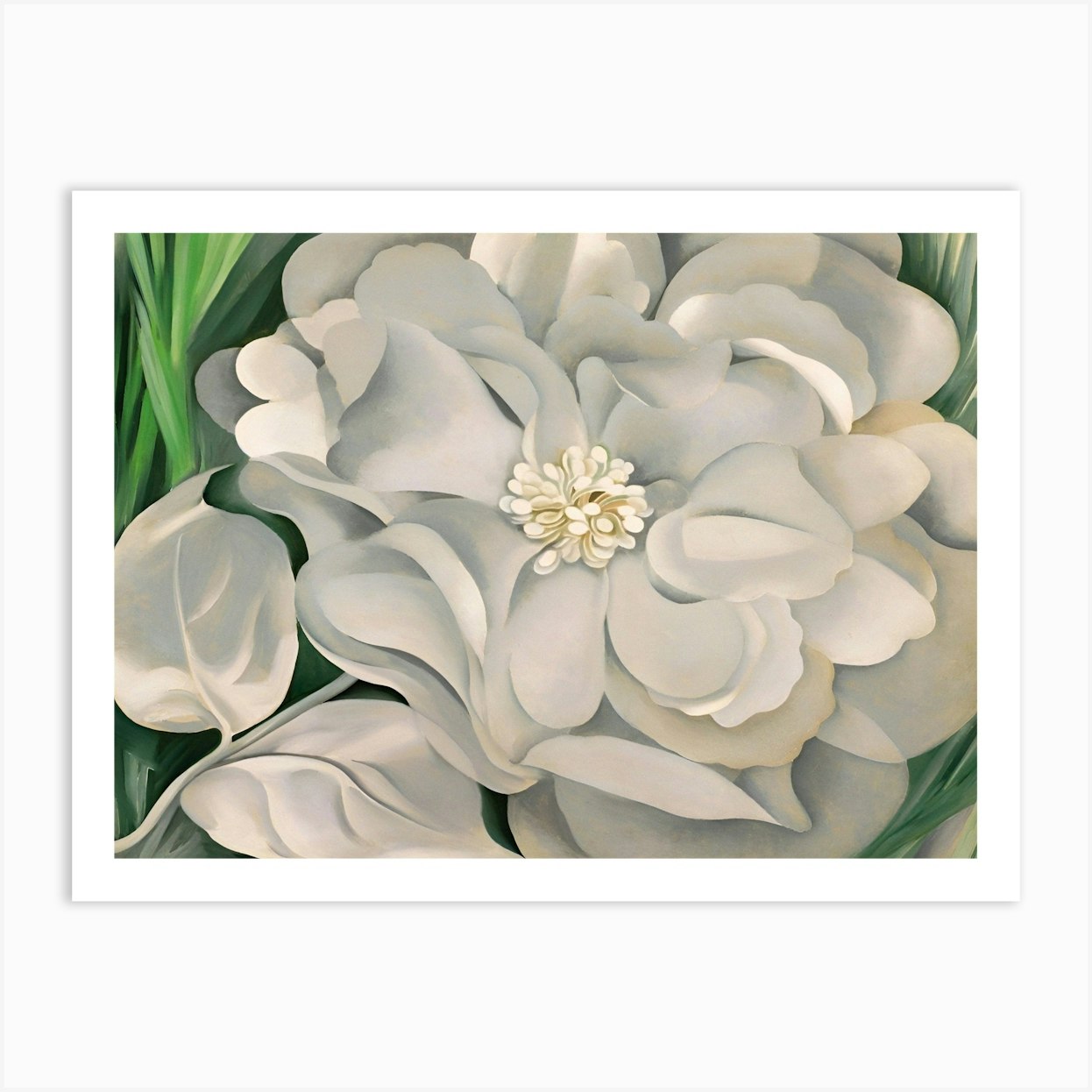 Georgia OKeeffe - The White Calico Flower 1 Art Print by Wirla - Fy