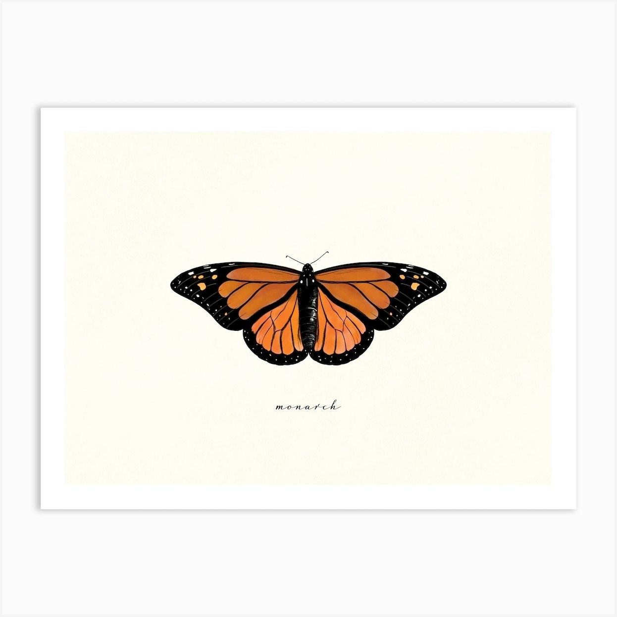 Monarch Butterfly Watercolor 2 Art Print By Ink Wild Designs Fy