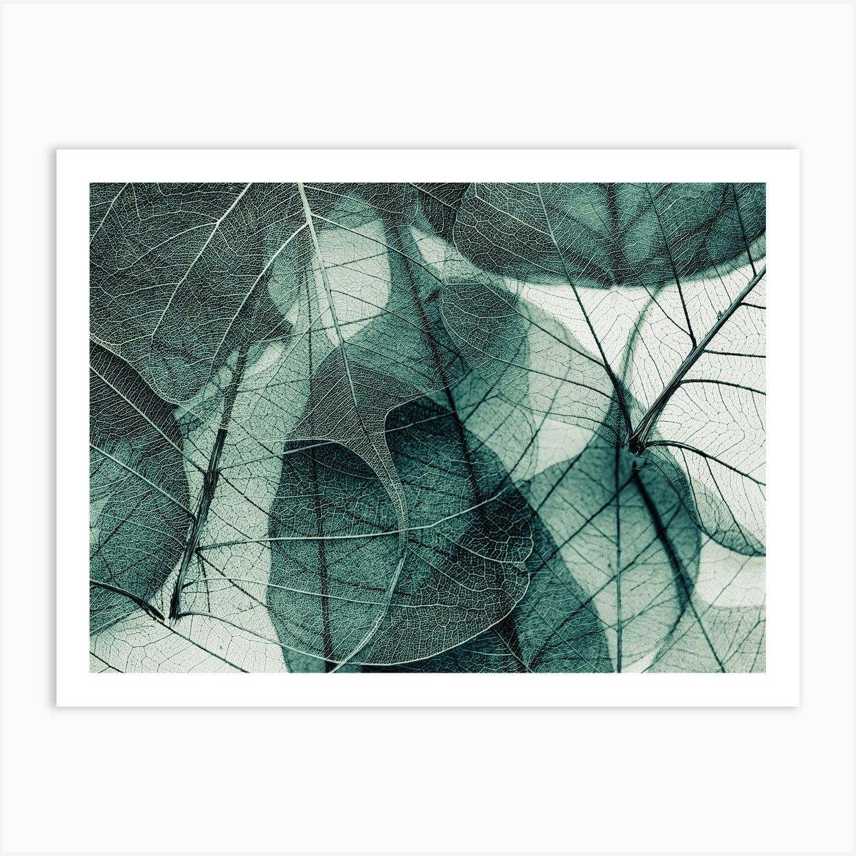 Olive Green Leaves Art Print by Ingrid Beddoes - Fy