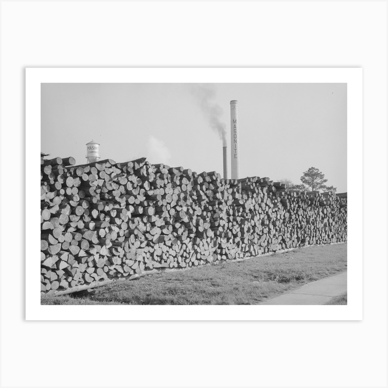 Piles Of Logs Used By Masonite Corporation,Laurel, Mississippi By ...