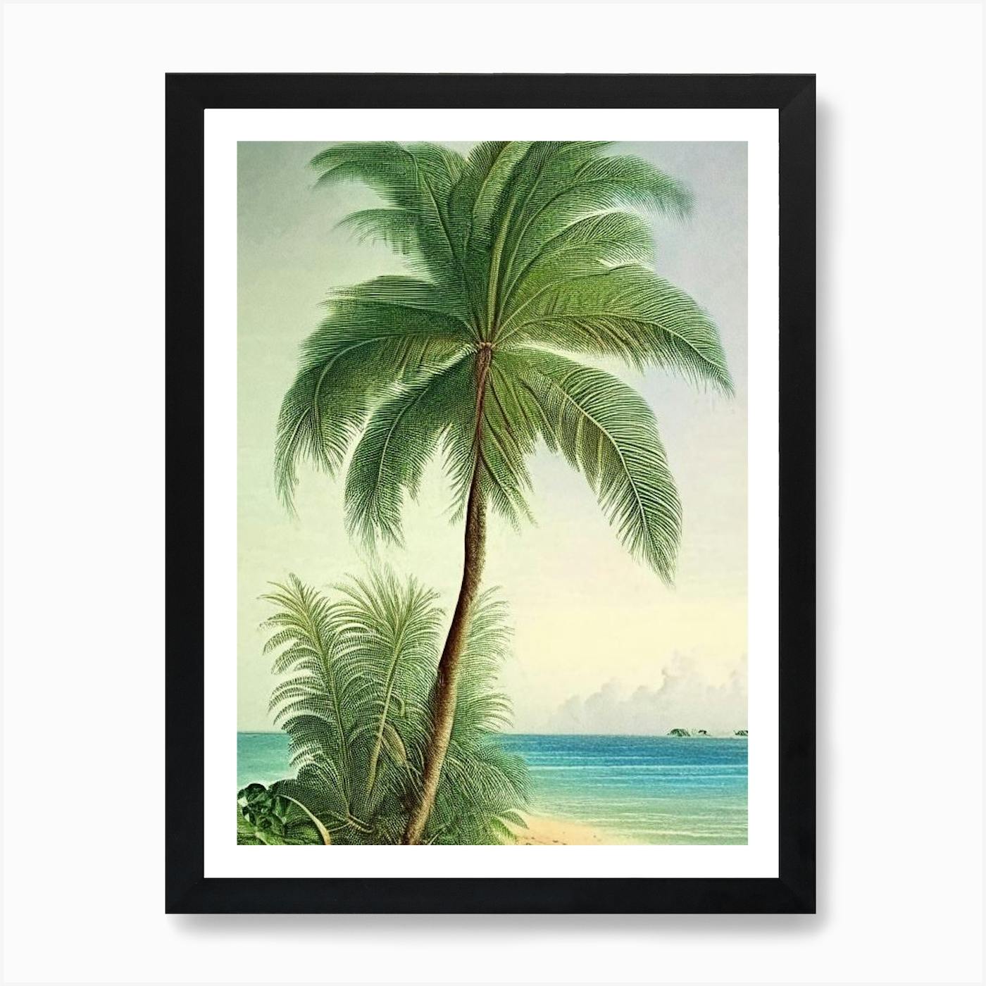 Vintage Landscape Drawing With Palm Trees Art Print by Fy! Classic