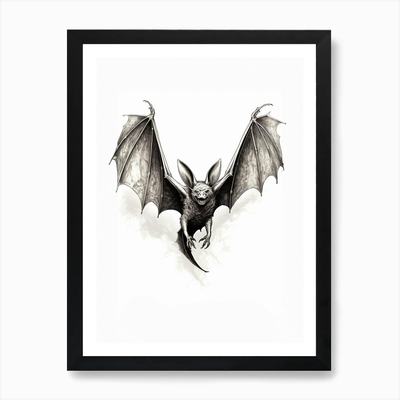 Serotine bat - ORIGINAL outlets drawing