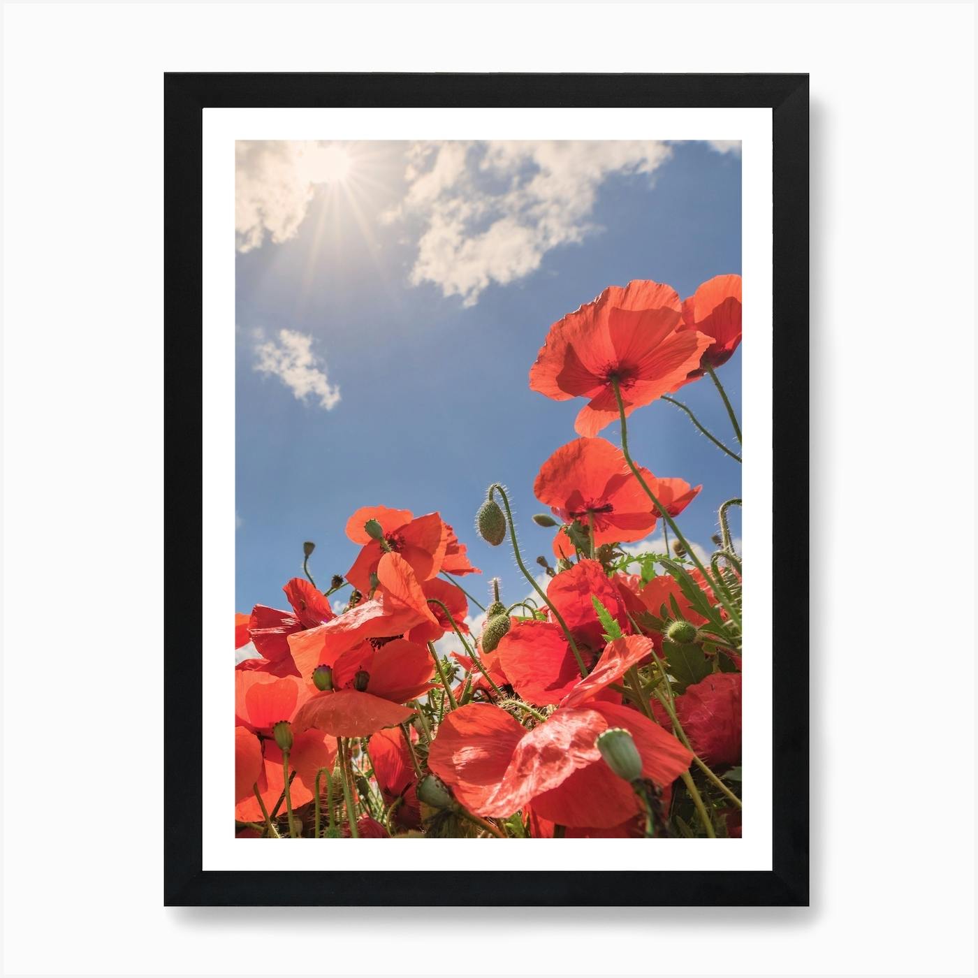 Red Poppies - Framed poster, 12″×18″, Frame comes in black or white, Colors: Red, Green & Blue, Floral, high quality Flowers, Summer landscape