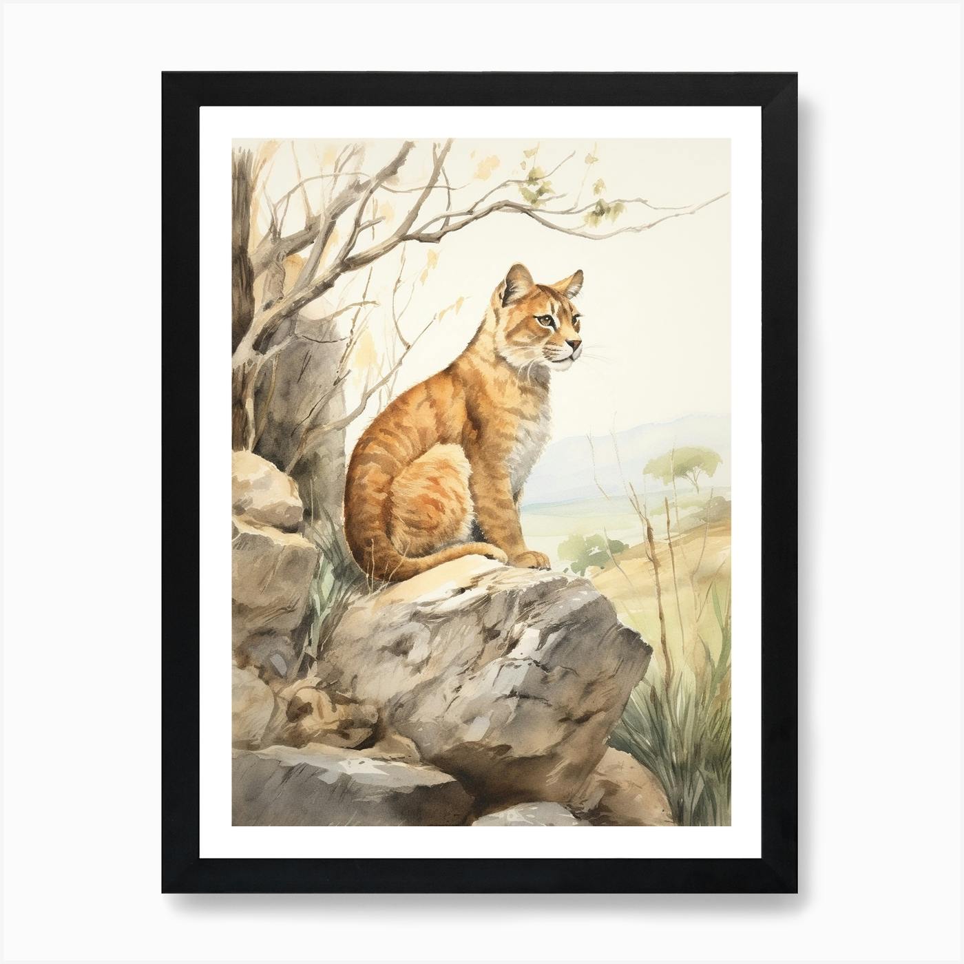 Puma clearance cat art