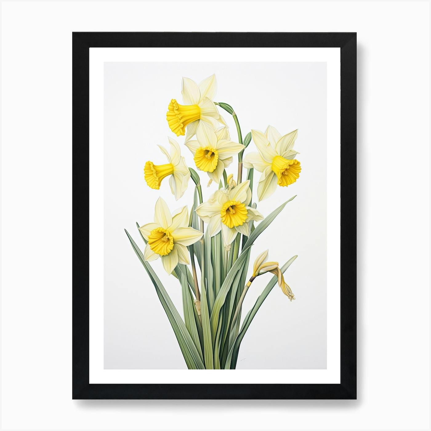 Edna Reindel Art Print. Vintage Floral Art Print. Daffodil Art. Daffodil Collection. store Framed Floral Wall Art. 1940s Botanical Artwork.