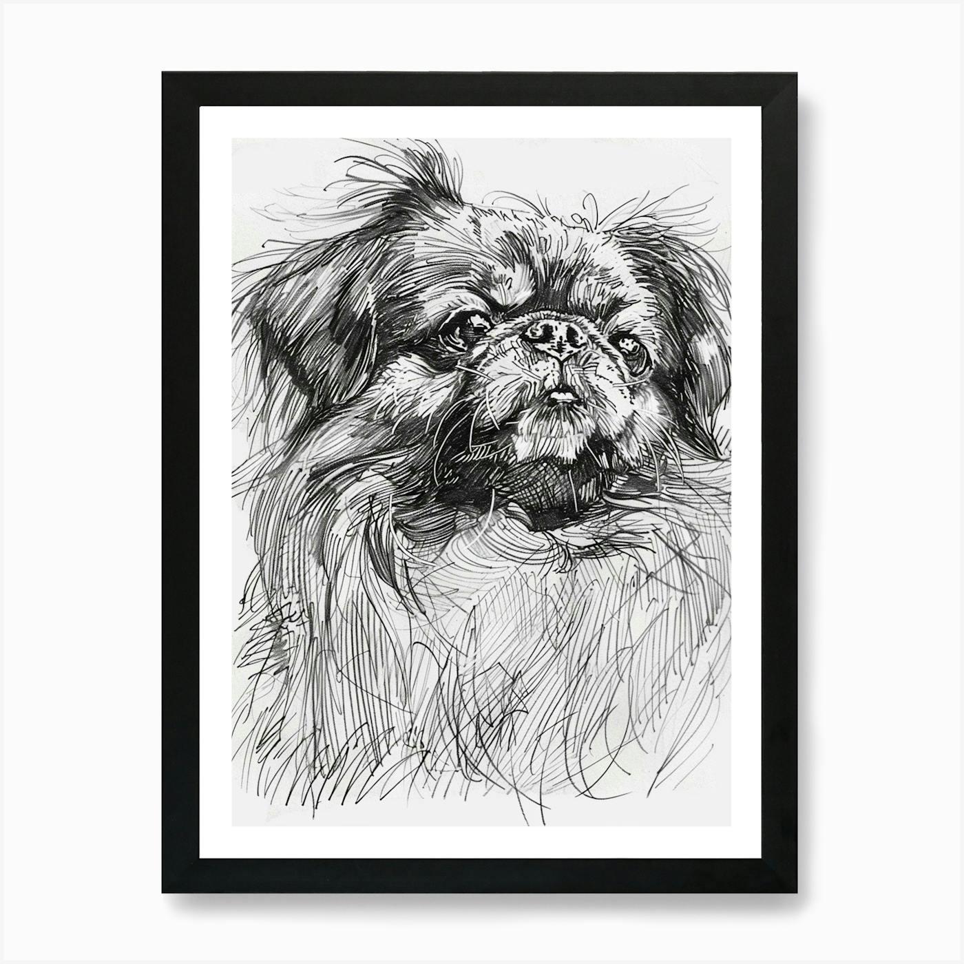 ペキニーズ書籍4冊セット 本 洋書 写真 pekingese PEKINGESE 洋書