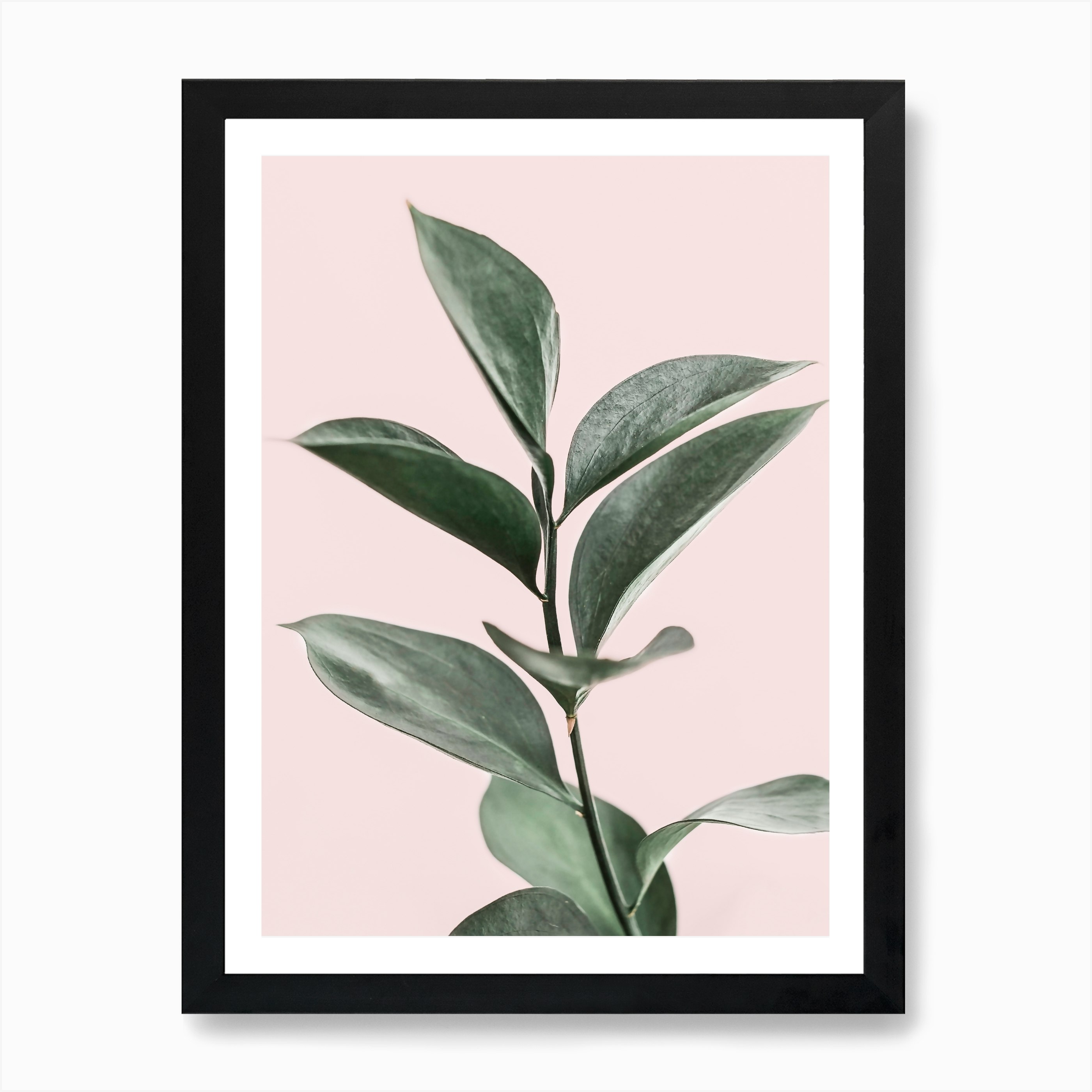 Branch Art Print by Sisi and Seb - Fy