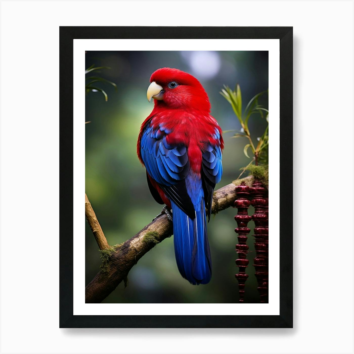 Crimson Rosella Bird Square Art Print by Juliana Motzko - Fy