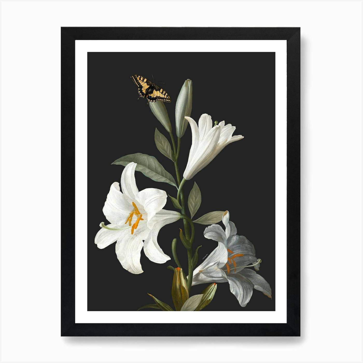 Hotsell Lilies Ver. 1 (Framed Photo print)