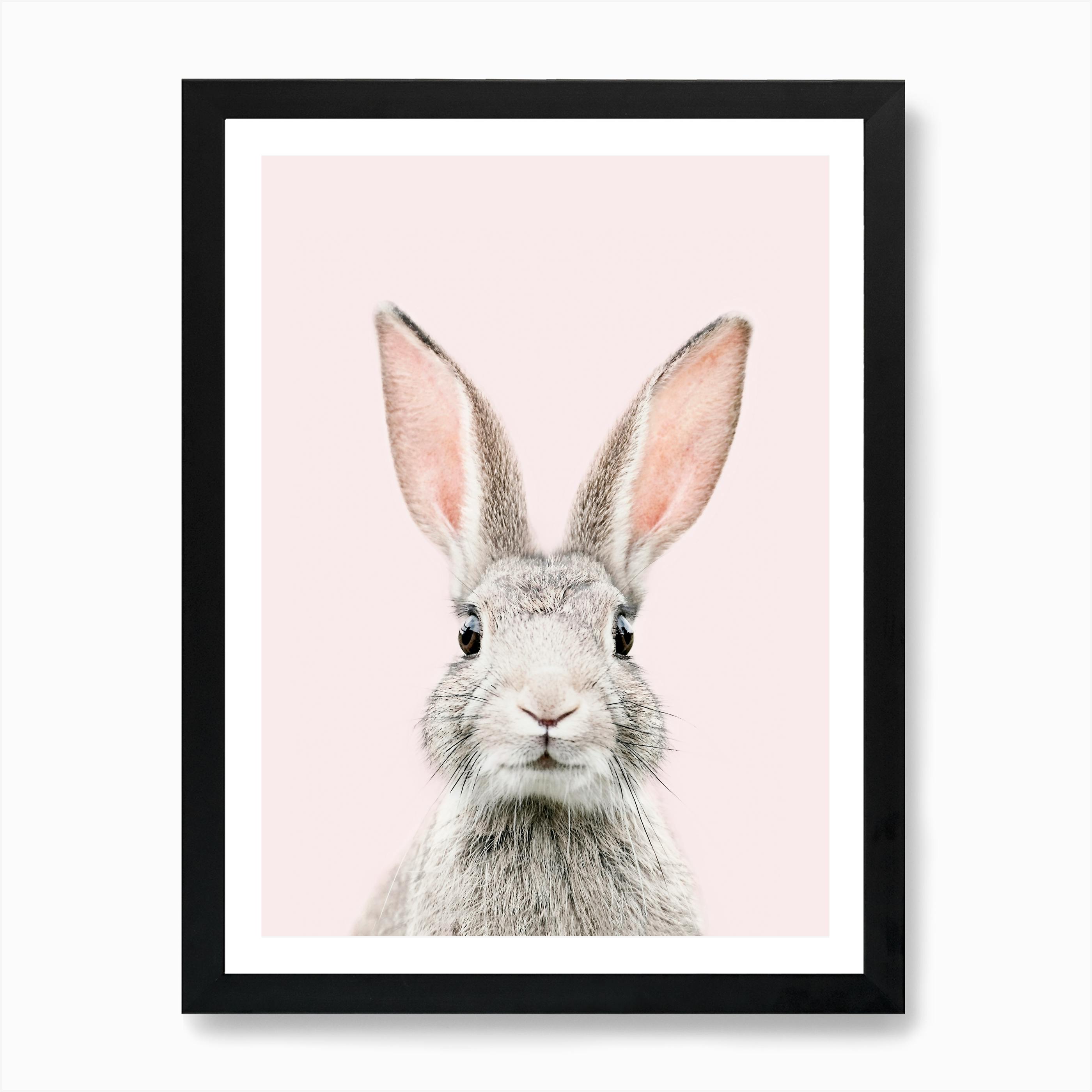 Bunny Face Blush Art Print by Sisi and Bunny Face Canvas Print by Sisi and Seb