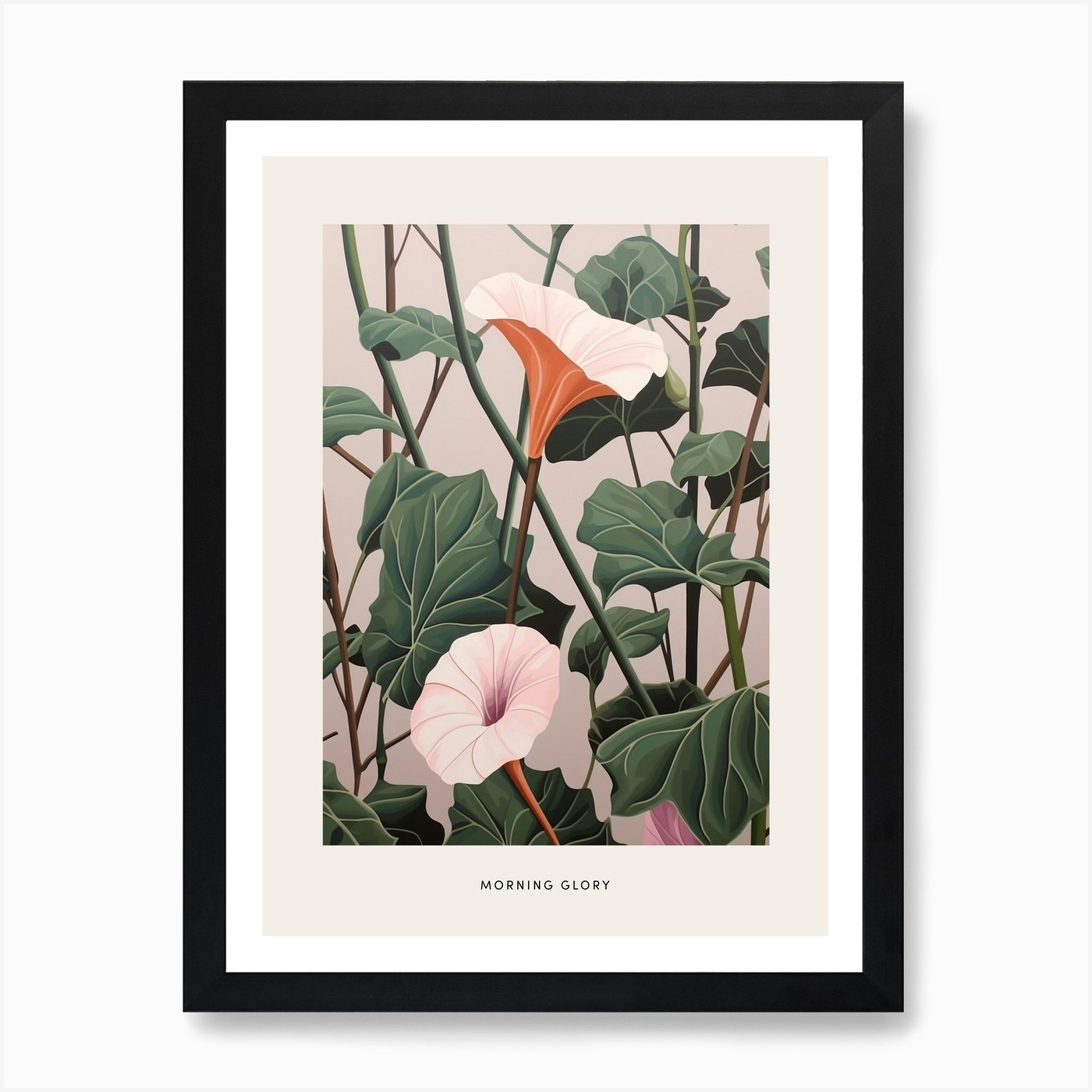 Flower Illustration Morning Glory 7 Poster Art Print by Botanic Studio - Fy