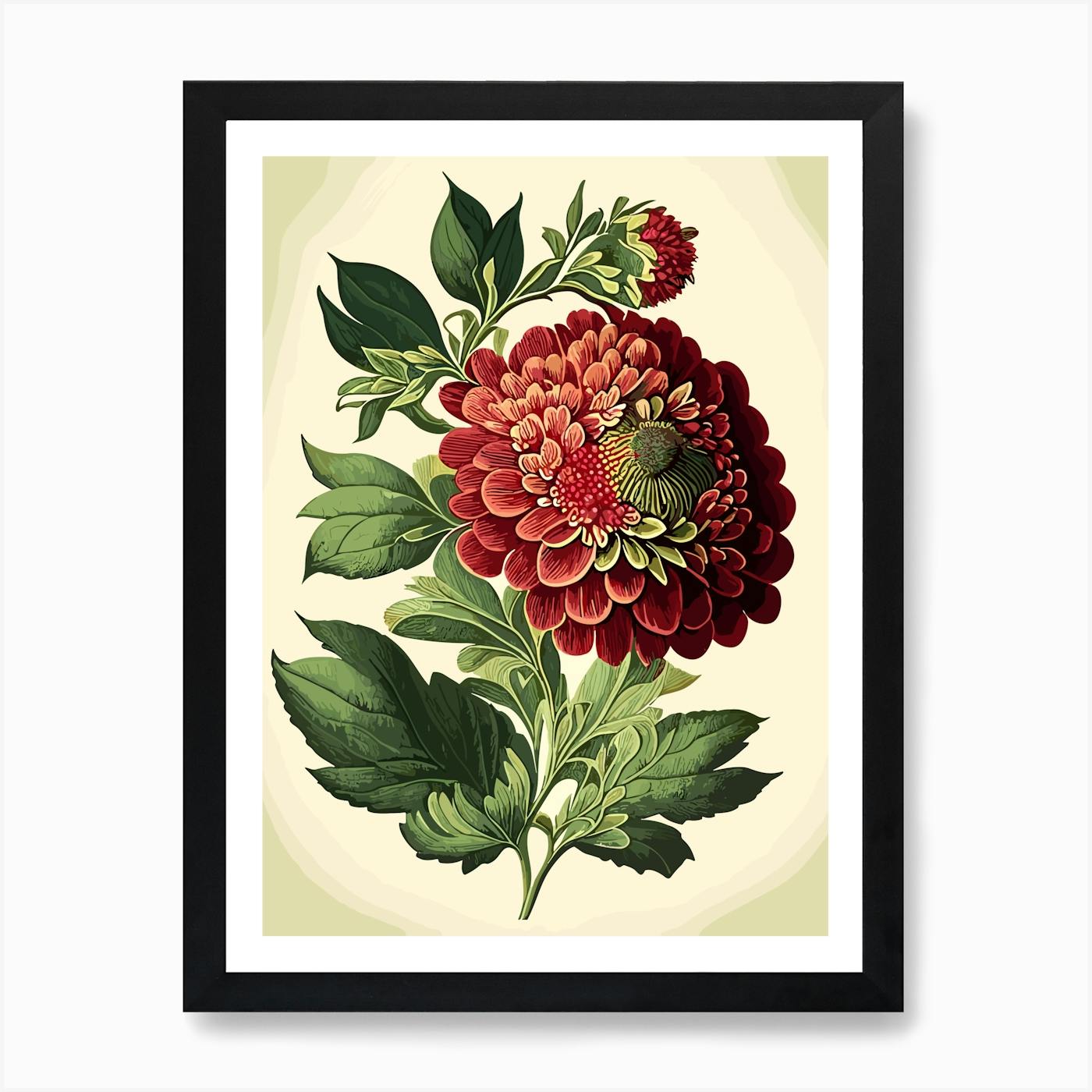 Elegant Zinnias, Art Deco store Hand-Painted Botanical Study, Original Vintage Botanical Chart