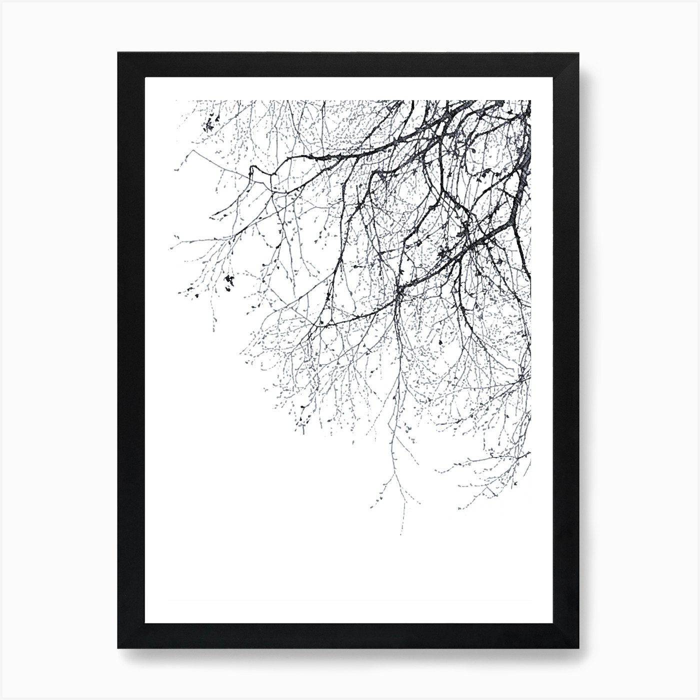 Black Branches 23 in Art Print by Monika Strigel - Fy