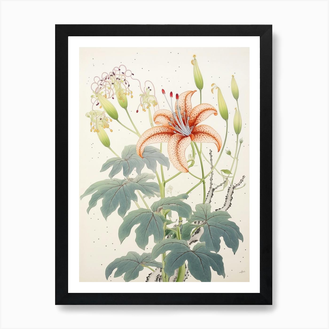 Higanbana Red Spider Lily 1 Vintage Japanese Botanical Art