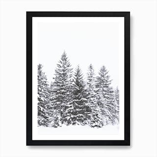 Black Winter Trees in Print | Fast shipping | Fy