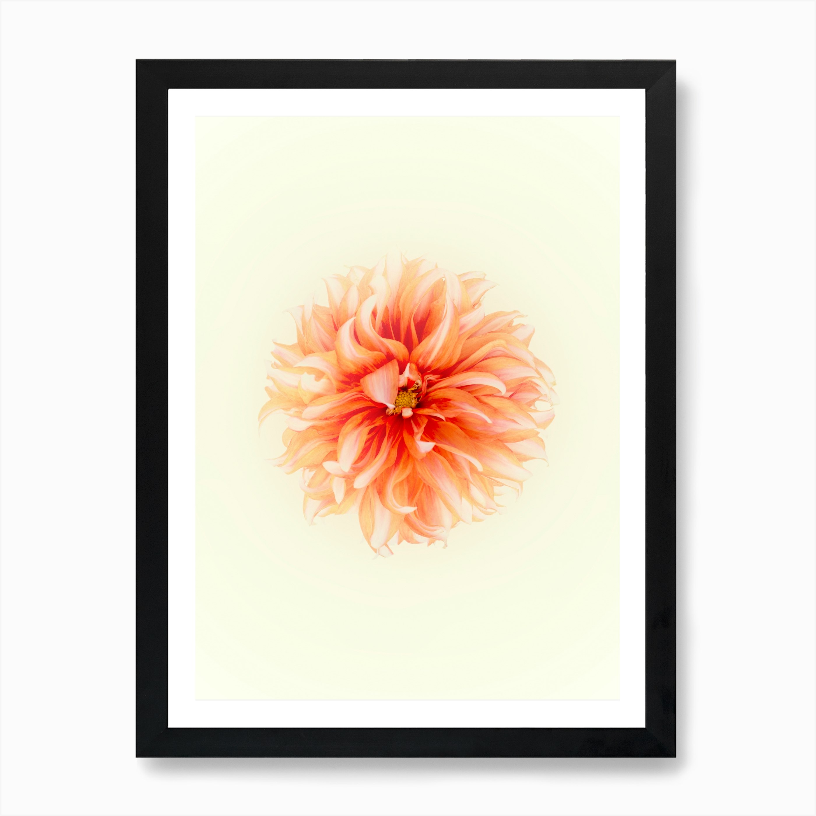 Orange Flower Art Print by Mariëlle Leenders - Fy