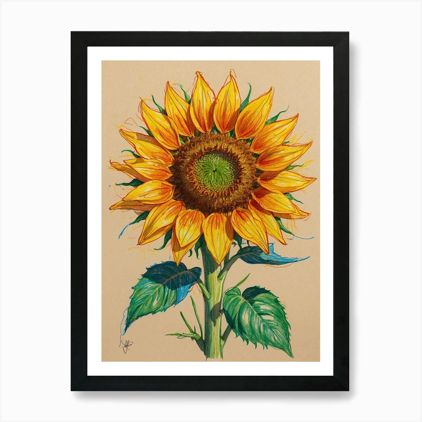 Sunflower Art Print, Sunflower selling set of 2, Black White Floral Illustration, Grey Flower Print Wall Art Watercolor Painting