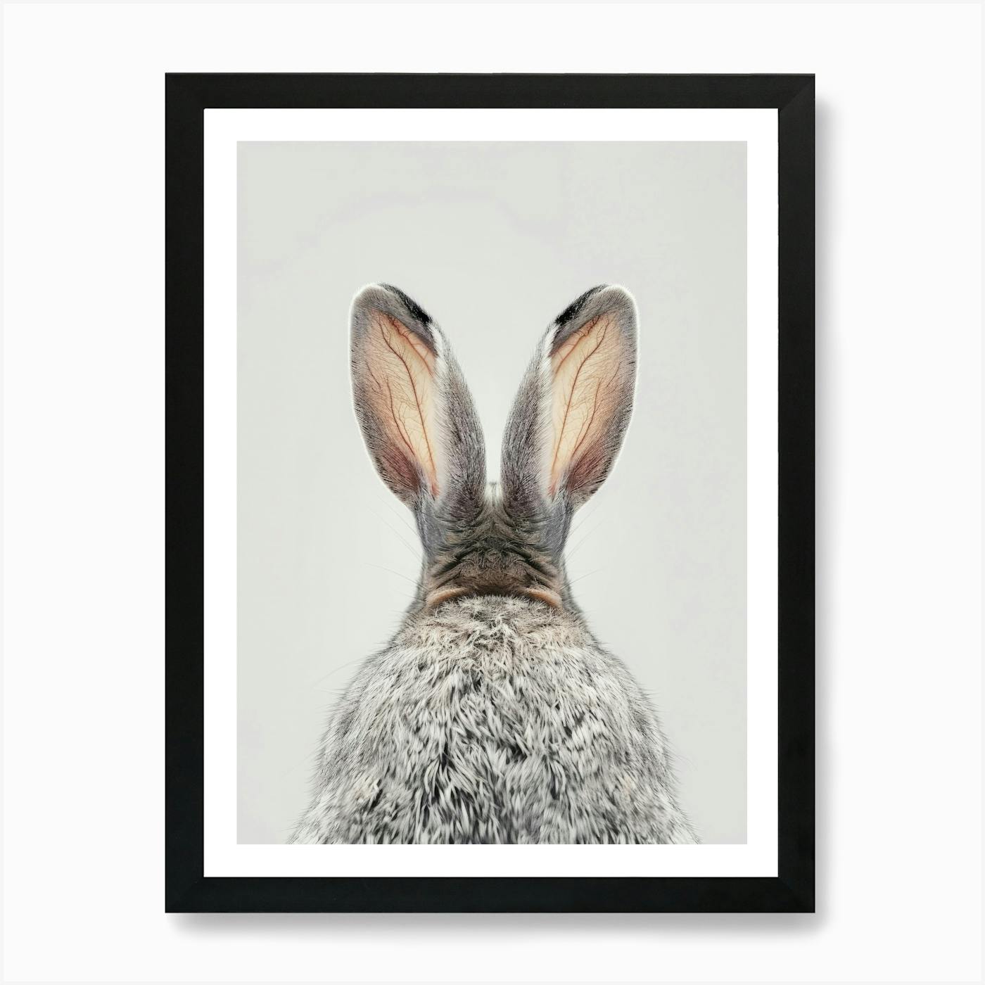 Female Baby Bunny Rabbit Animal Print Portrait Framed Canvas Wall Art, 18x24 store Gra