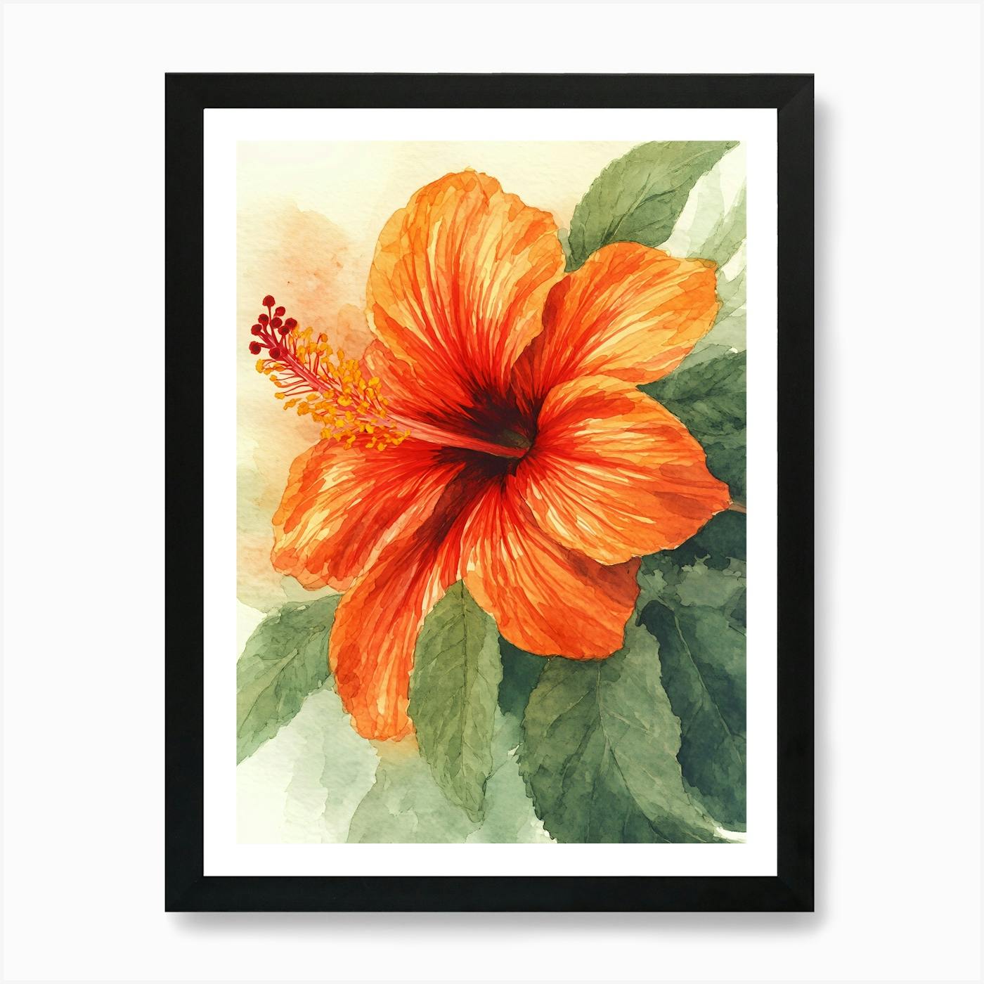 Orange Hibiscus Flower 1 Art Print by BEATY - Fy