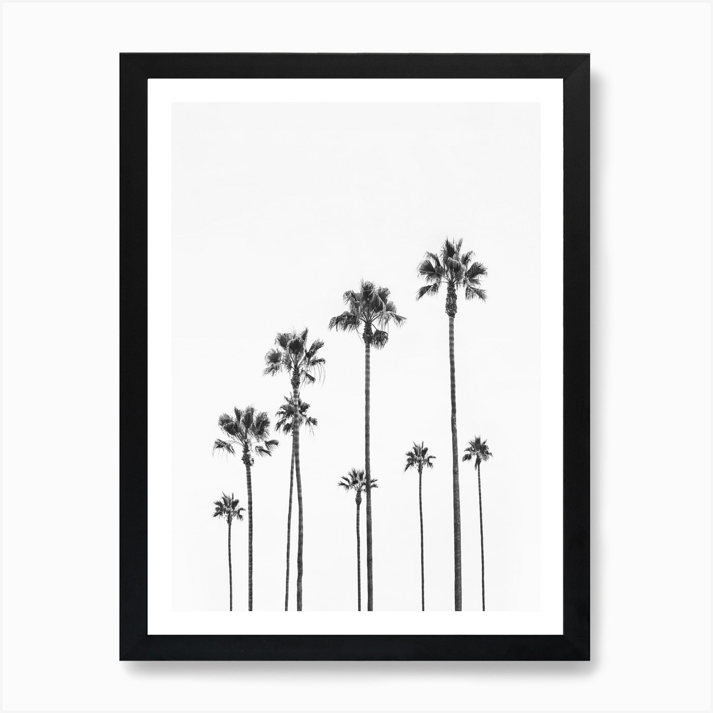 Black Palm Trees Art Print by Sisi and Seb - Fy