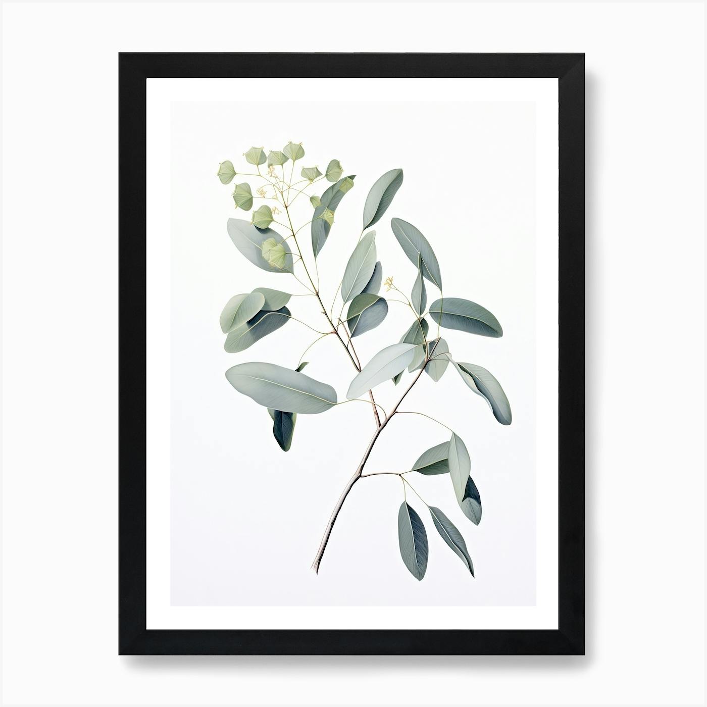 Botanical Eucalyptus Watercolor Print, Frameable Wall Art, Botanicals, Eucalyptus outlets Plant, Plants, art frame minimal