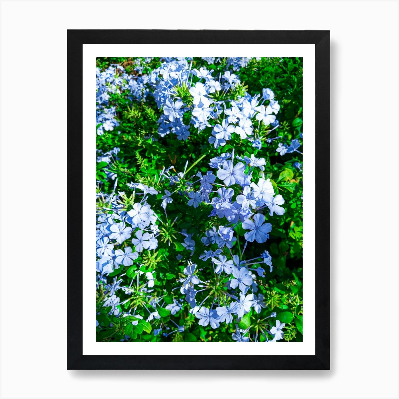 Natural fresh flowers and green plants 2 Art Print by ARTSTEPS Fy