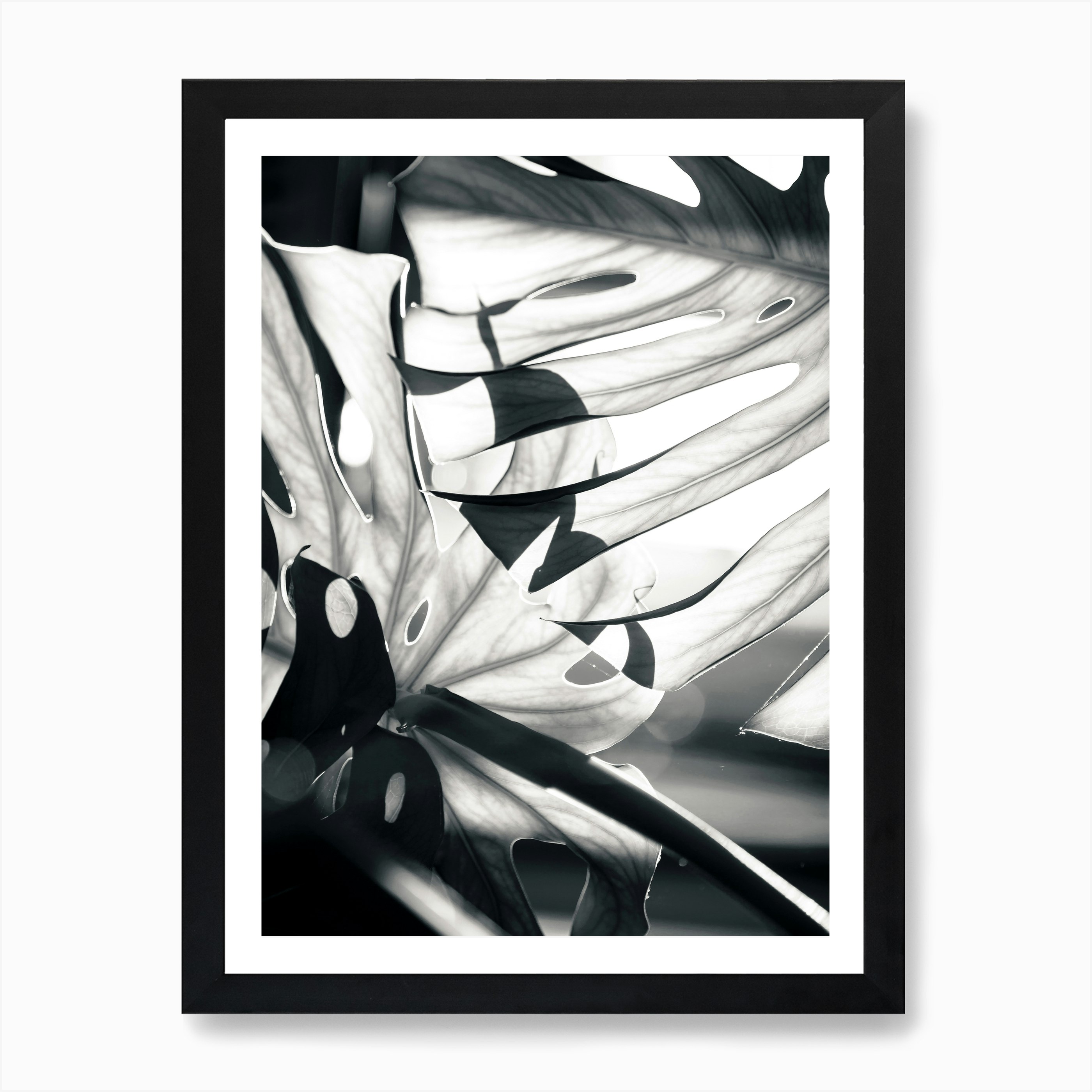 Mono Leaves Art Print by Honeymoon Hotel - Fy