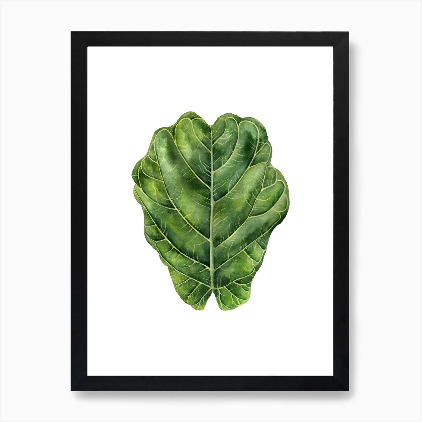 Fiddle Leaf Fig Art Print by Gush Art Studio Fy