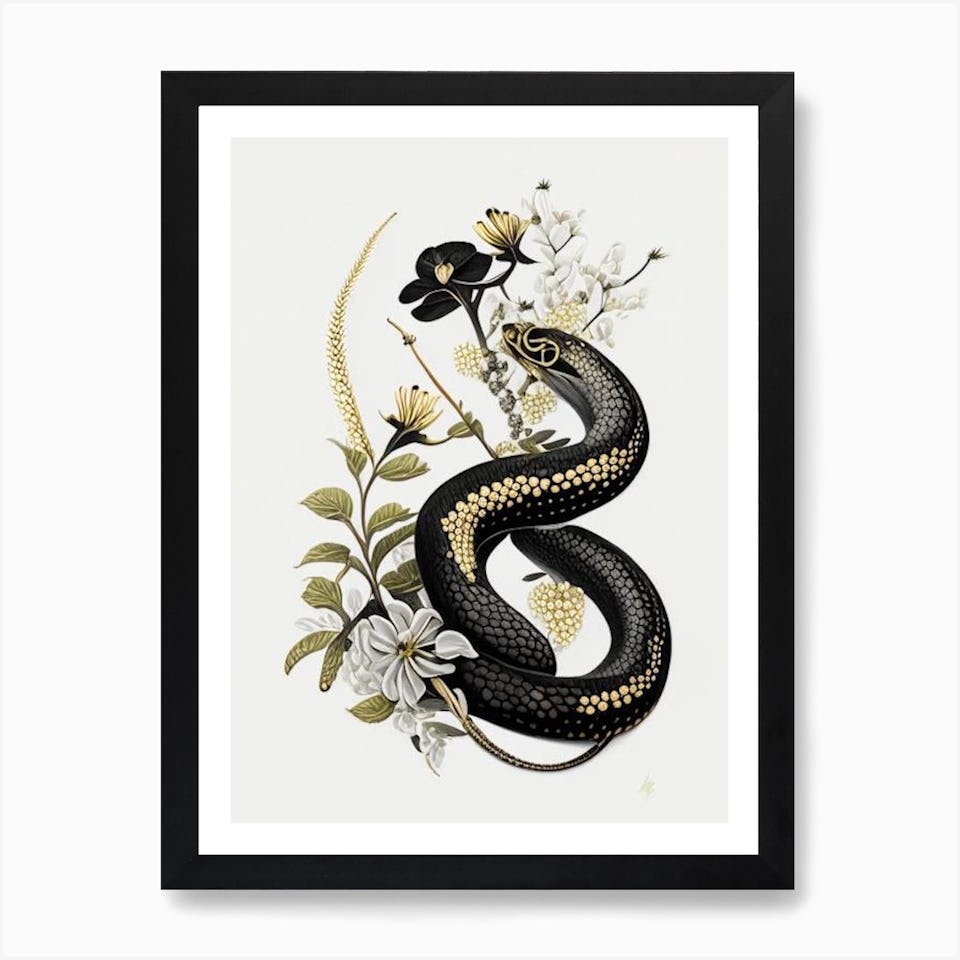 Snakes Posters | Shop Fy