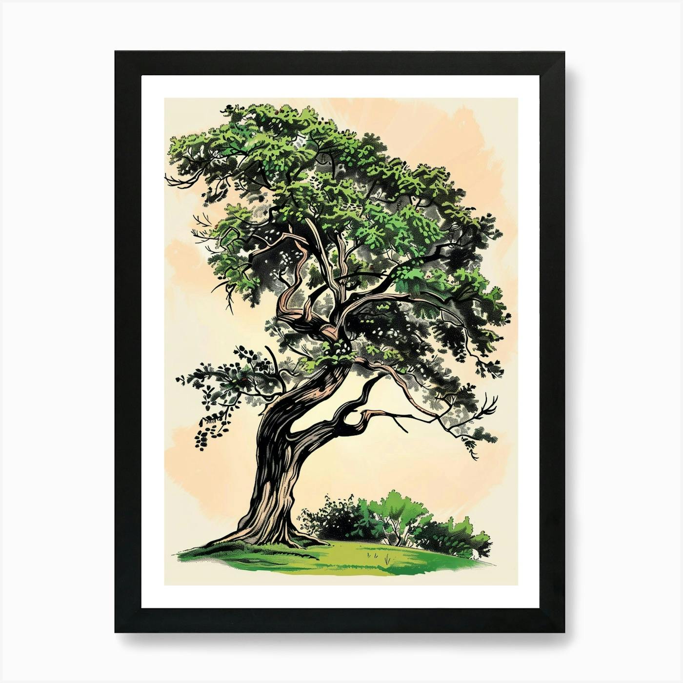 Juniper - Tree 2024 3: A3+ & A2 Limited Edition Giclée Print, Art Print, Tree Drawing, Mother Nature