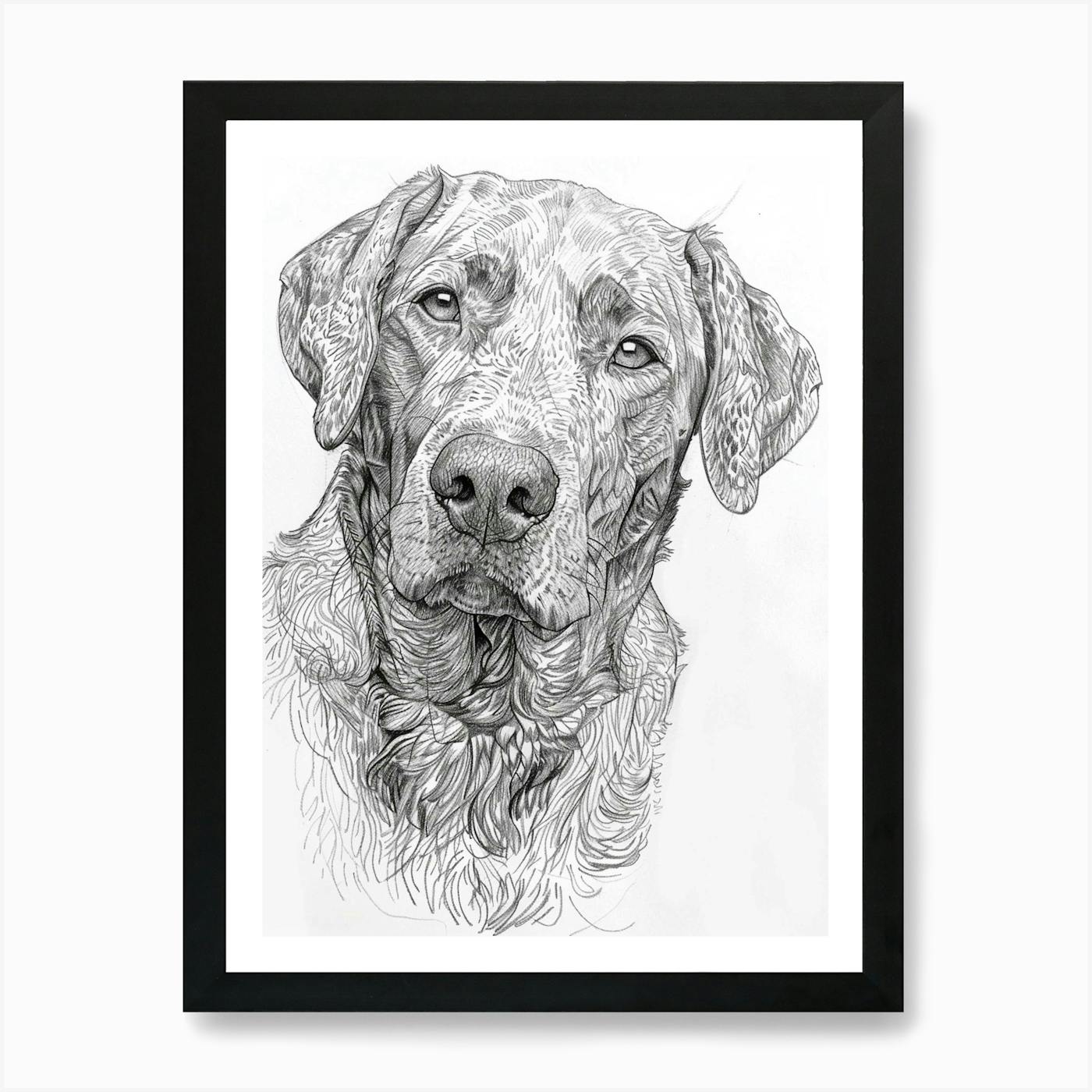 CHESAPEAKE BAY RETRIEVER Blueprint, Dog Art, Mid-Century Art, Dog Lover Gift, Museum Quality deals Print, Unique Gift, Personalization Available