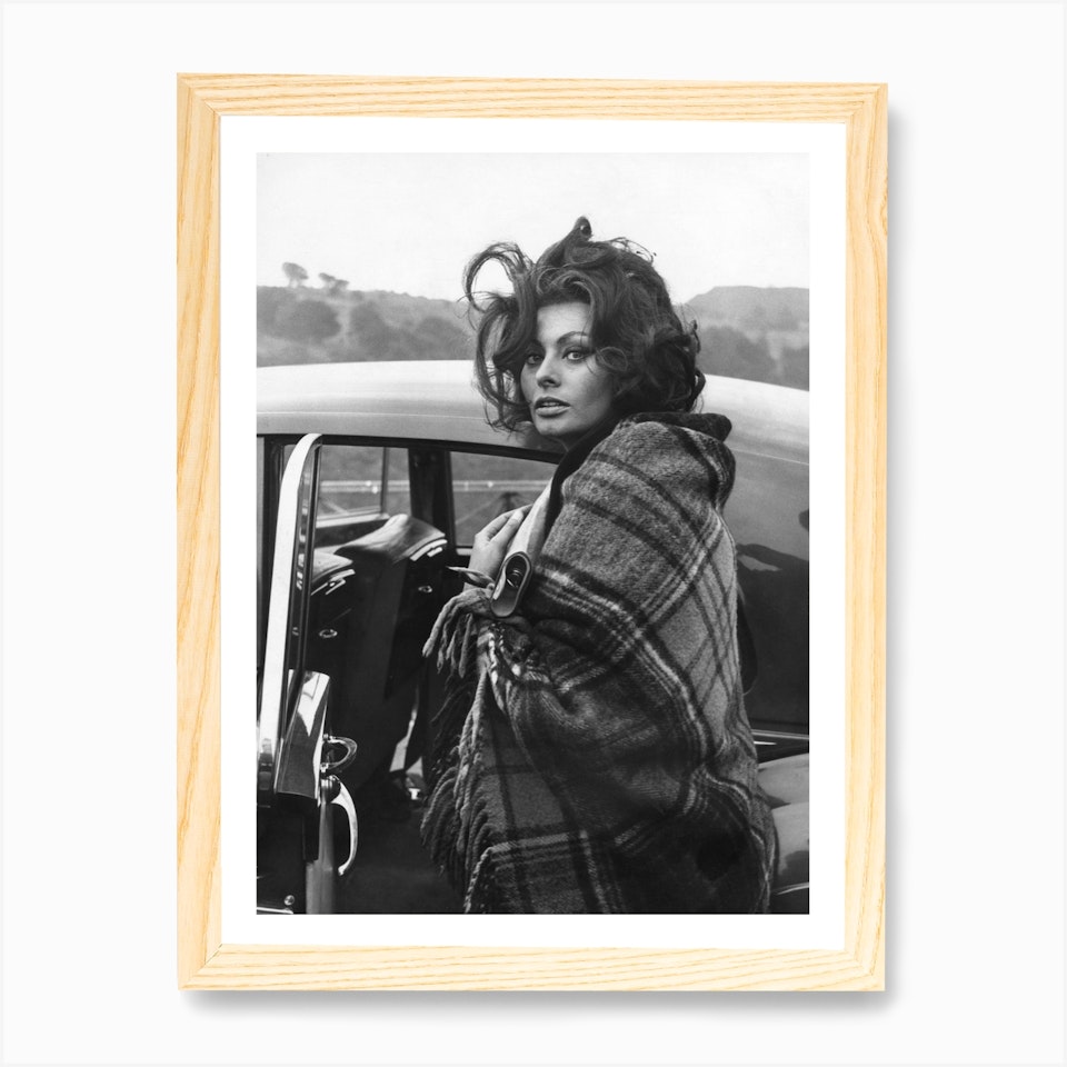 Sophia Loren Art Print By Mirrorpix Fy Sophia Loren Art Print By Mirrorpix Fy