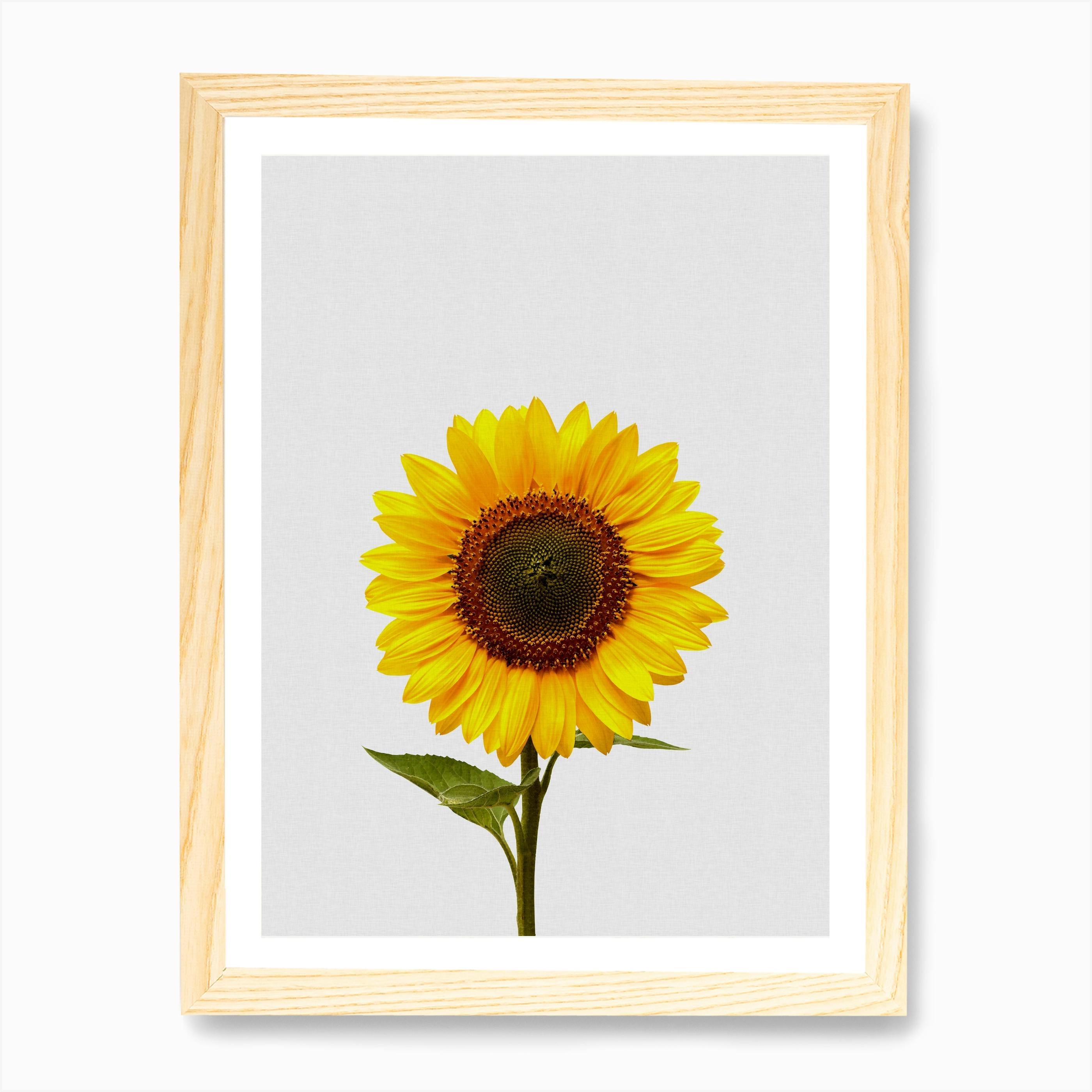Sunflower Art Deals, 59% OFF | www.pegasusaerogroup.com