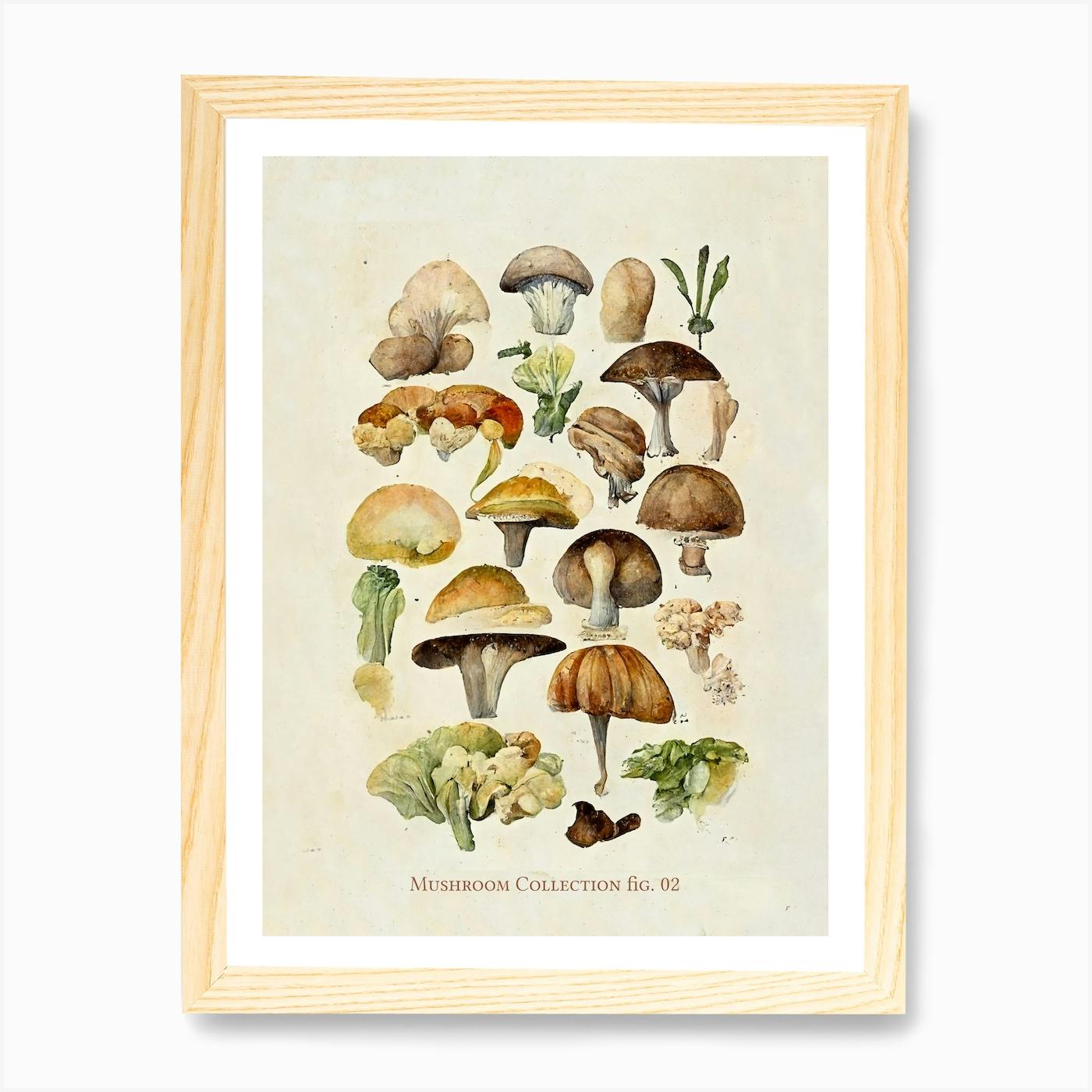 Dufour Champignons Plate 5 Vintage Mushroom Print offers Antique Plant Drawings Ready to Hang Kitchen Art Decor Canvas Scroll