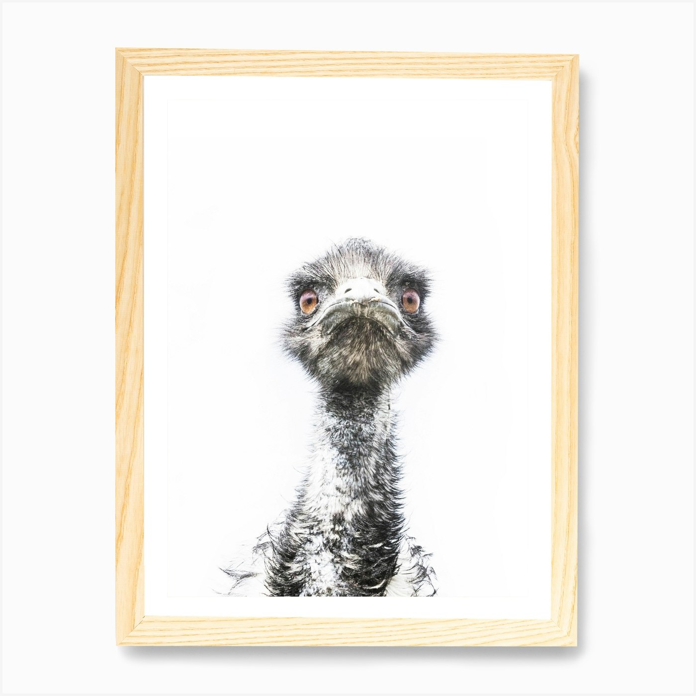 Emu Art Print by Victoria Frost - Fy