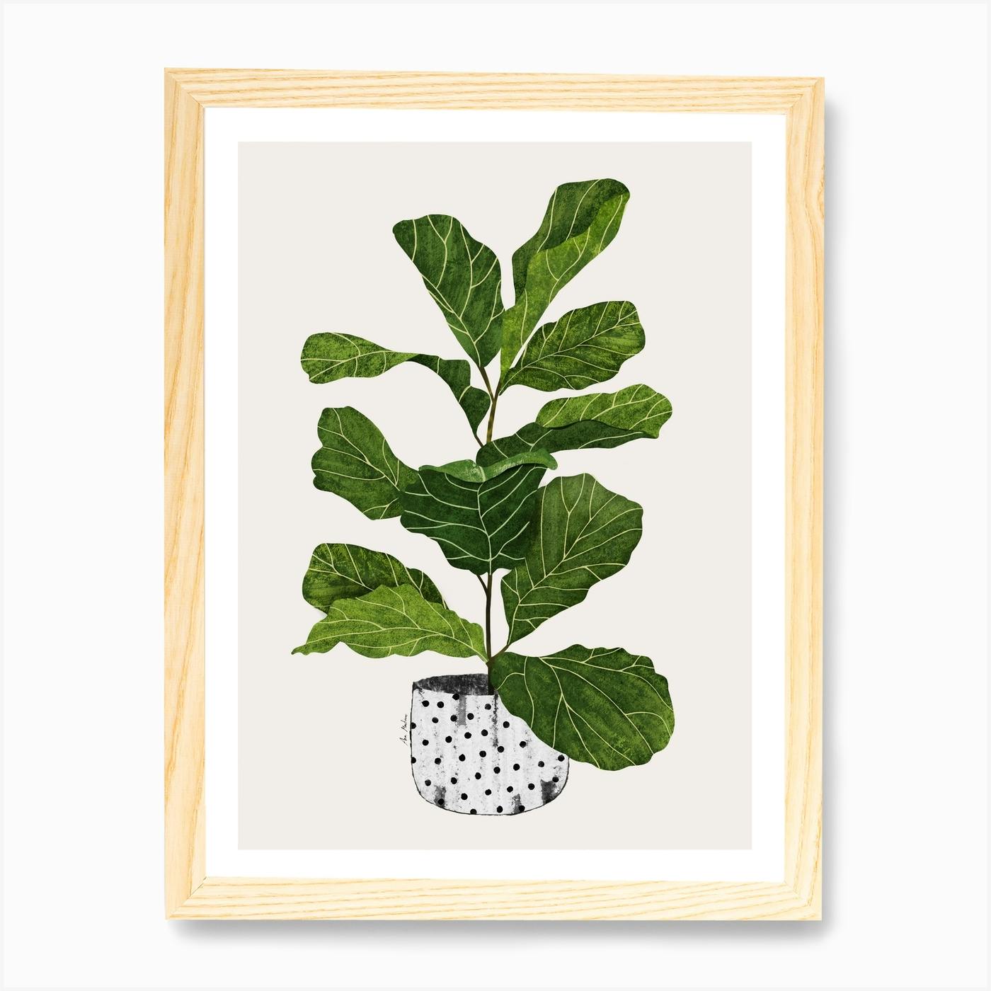 Fiddle Leaf Fig Tree Plant Art Print