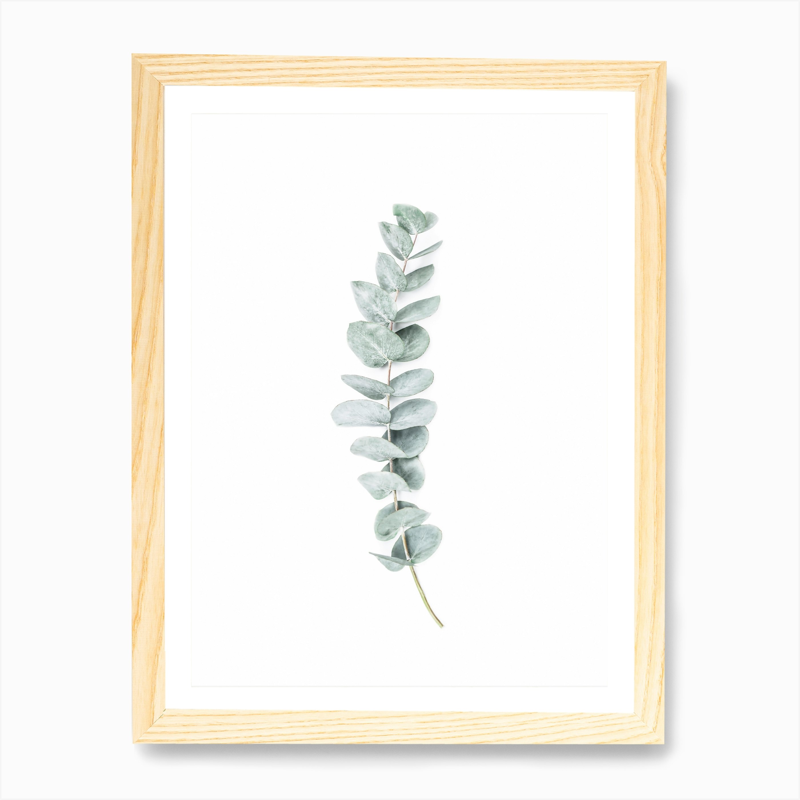 Eucalyptus Art Print by Sisi and Seb - Fy