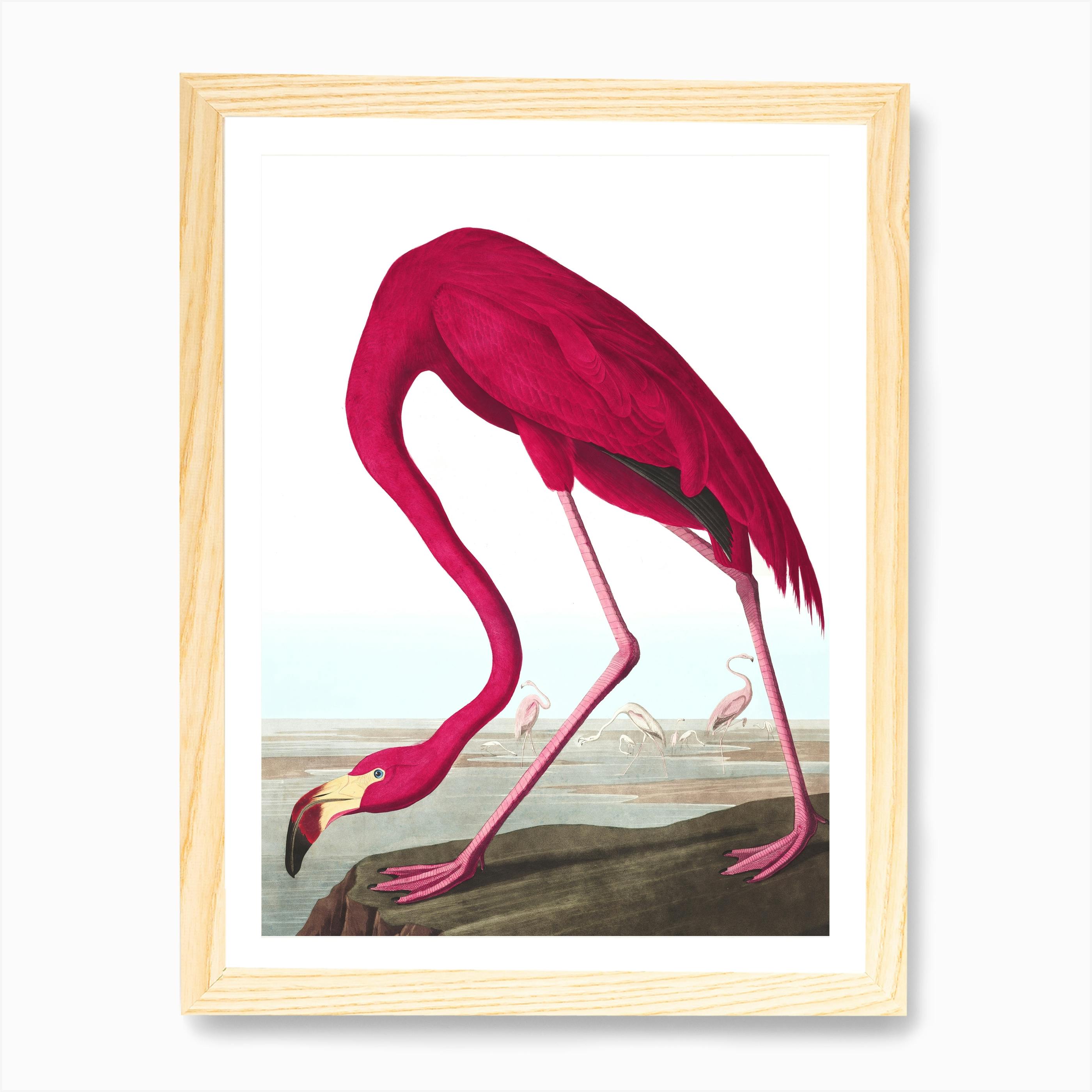 american flamingo painting autobahn